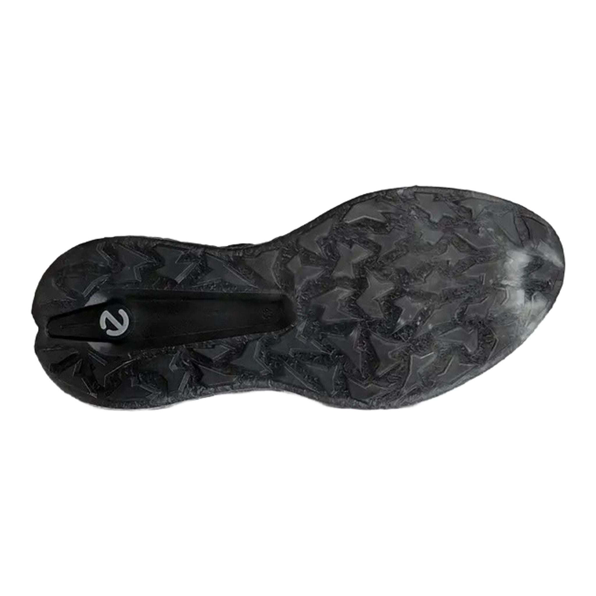 Chaussures de golf Ecco Biom H5 pour hommes