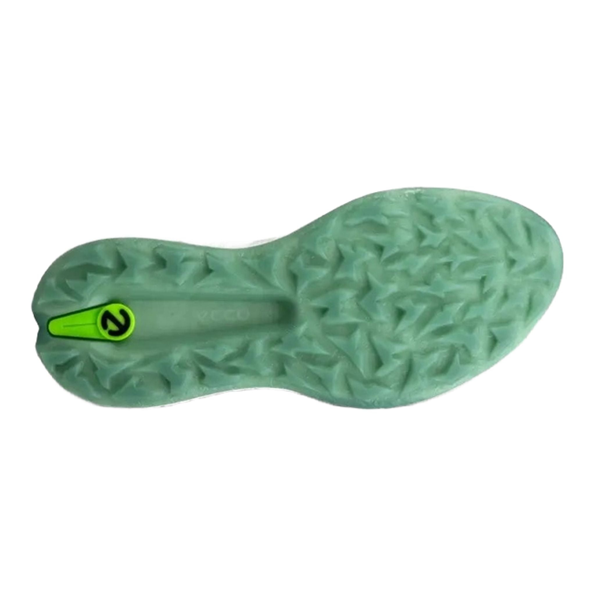 Chaussures de golf Ecco Biom H5 pour hommes