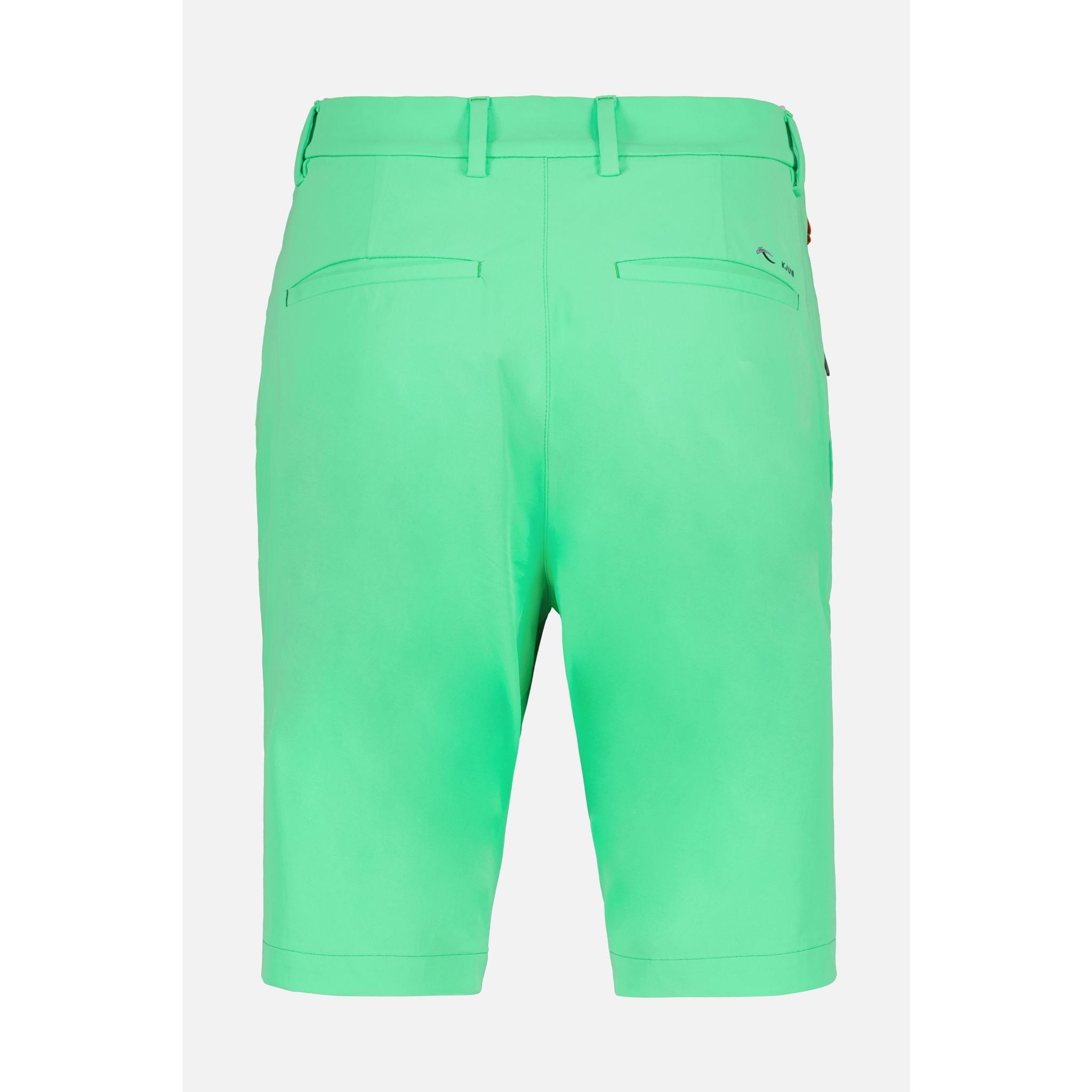 Kjus M Iver Short Printemps Vert Homme