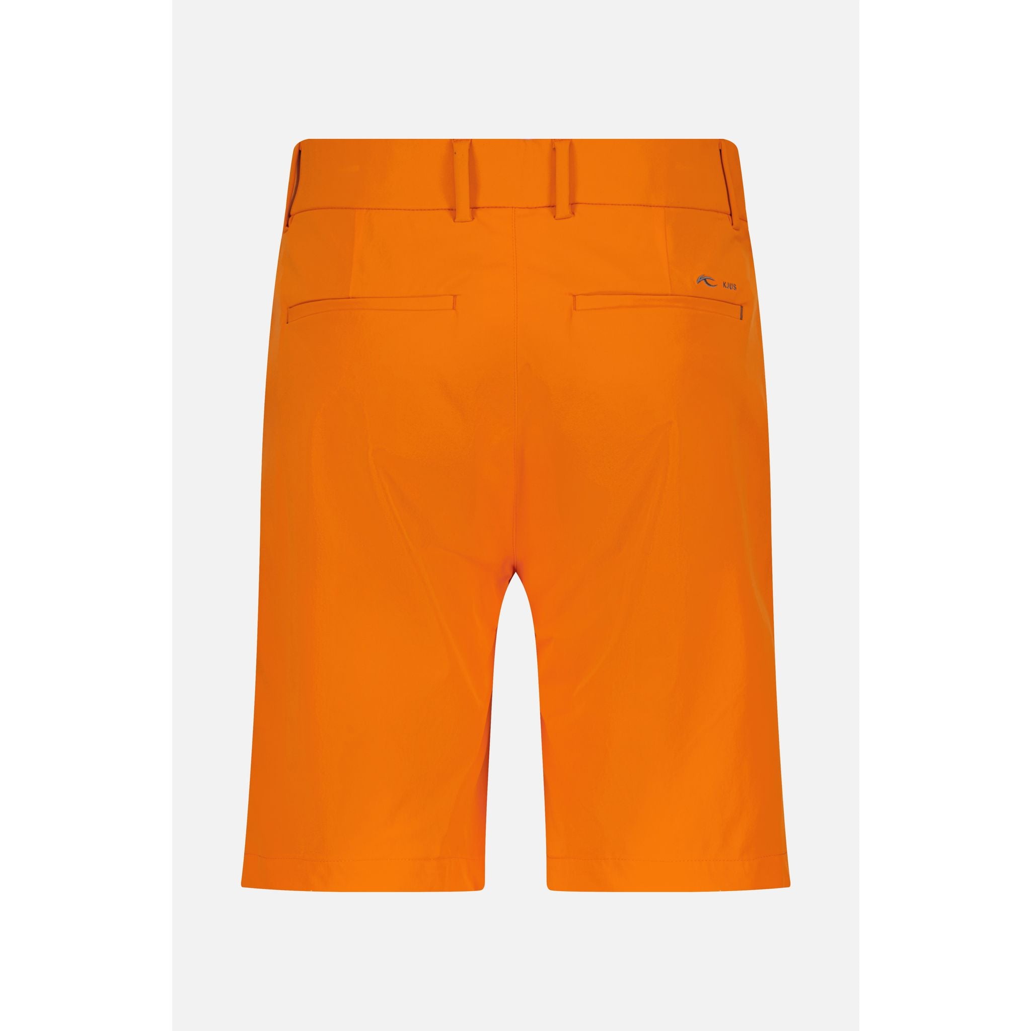 Kjus M Iver Short Printemps Vert Homme