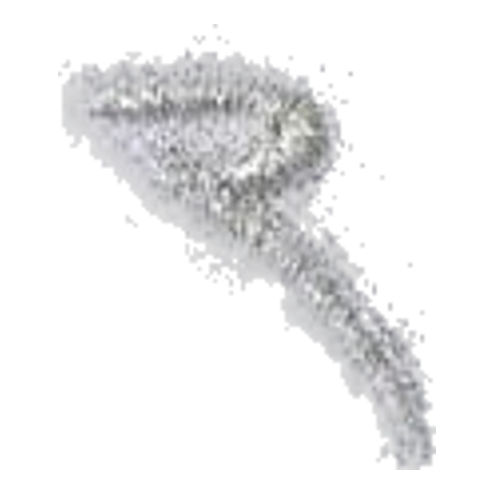 Polo Chervo Arenata pour femmes