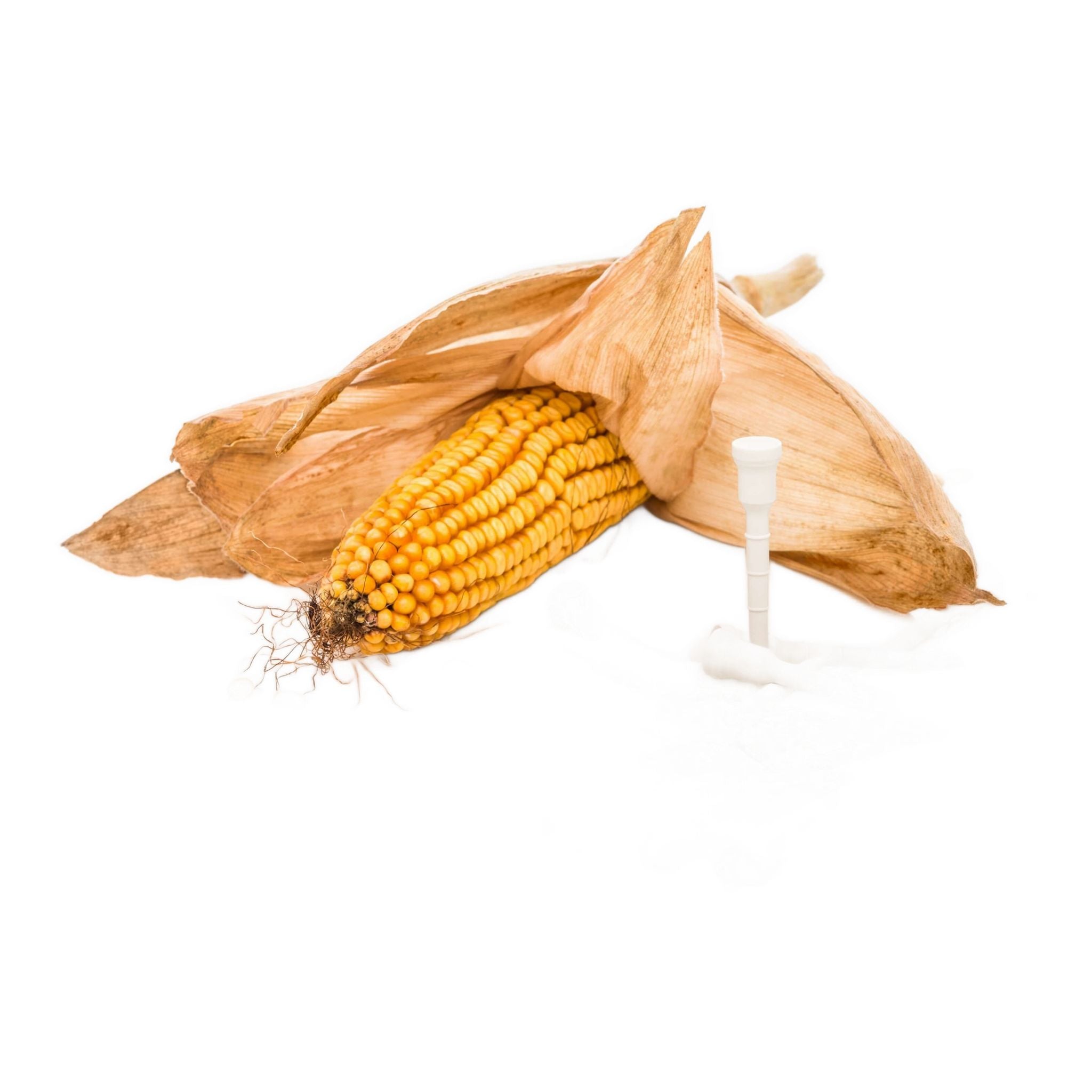 Thés Lignum Classic ECO