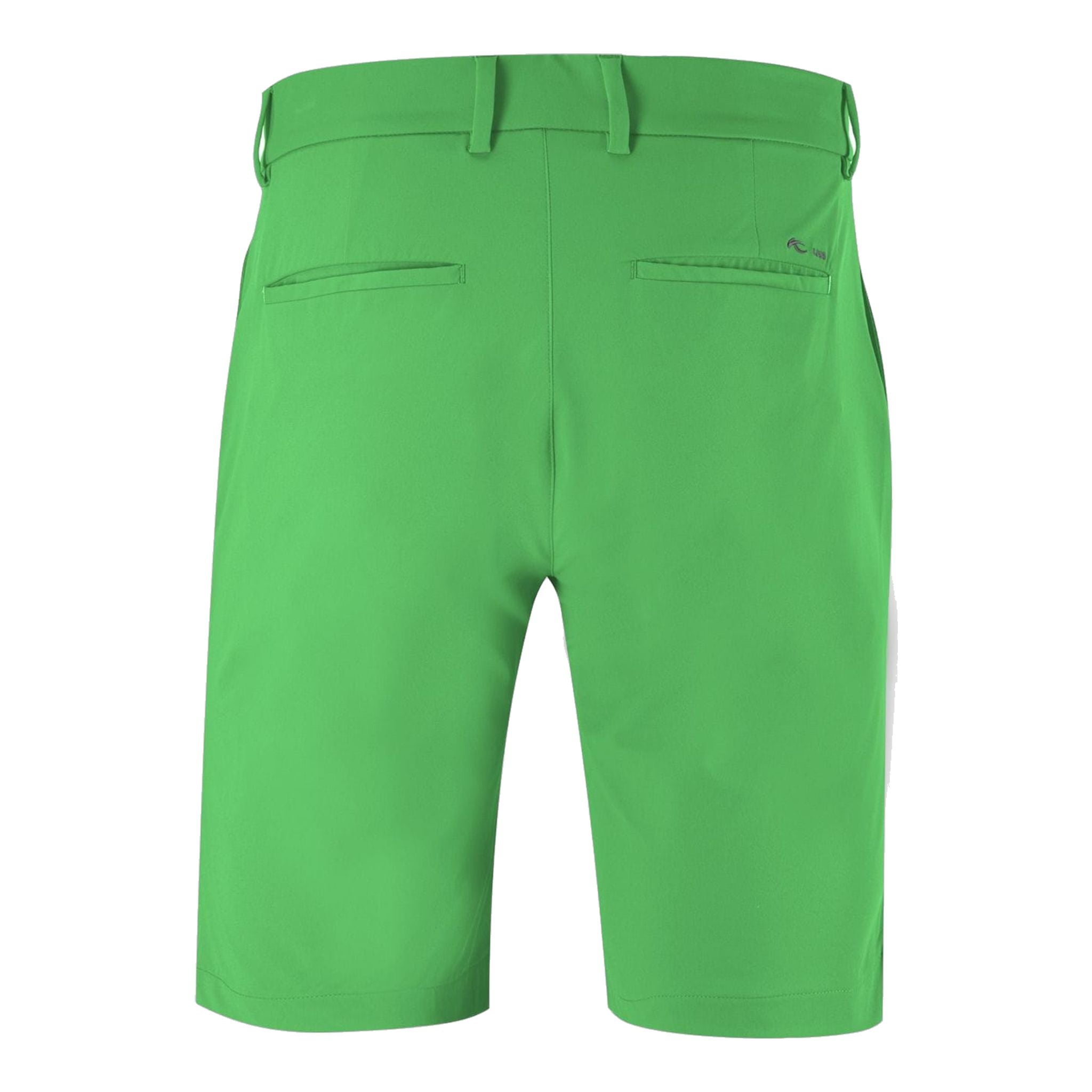Kjus M Iver Short Printemps Vert Homme