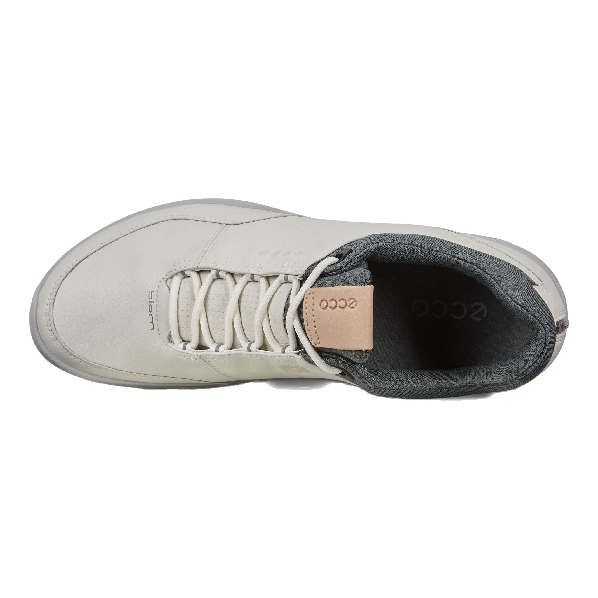Ecco M Biom Hybrid 3 Blanc/Lake/Racer Yak Homme