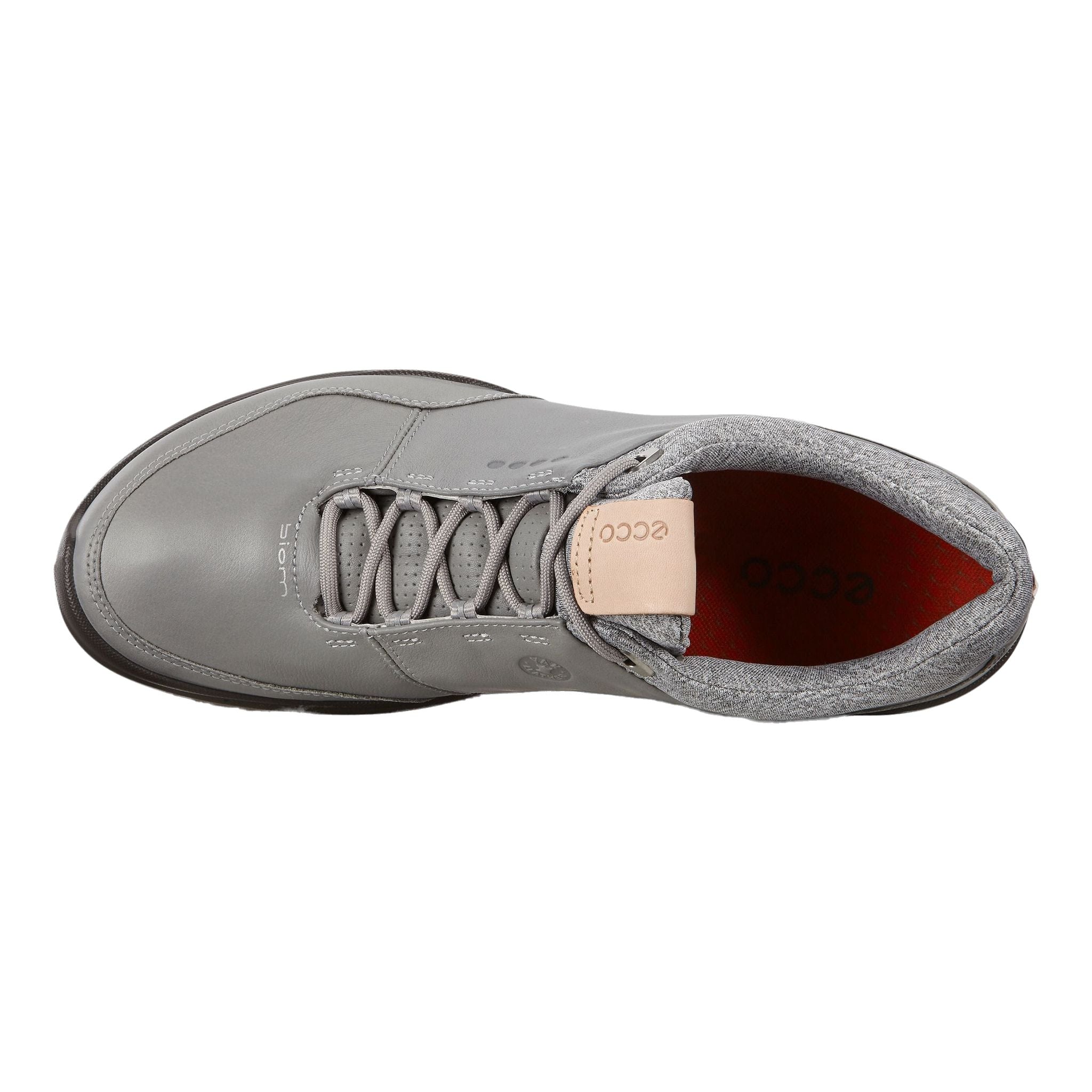 Ecco Biom Hybrid 3 Wild Dove/Fire pour hommes