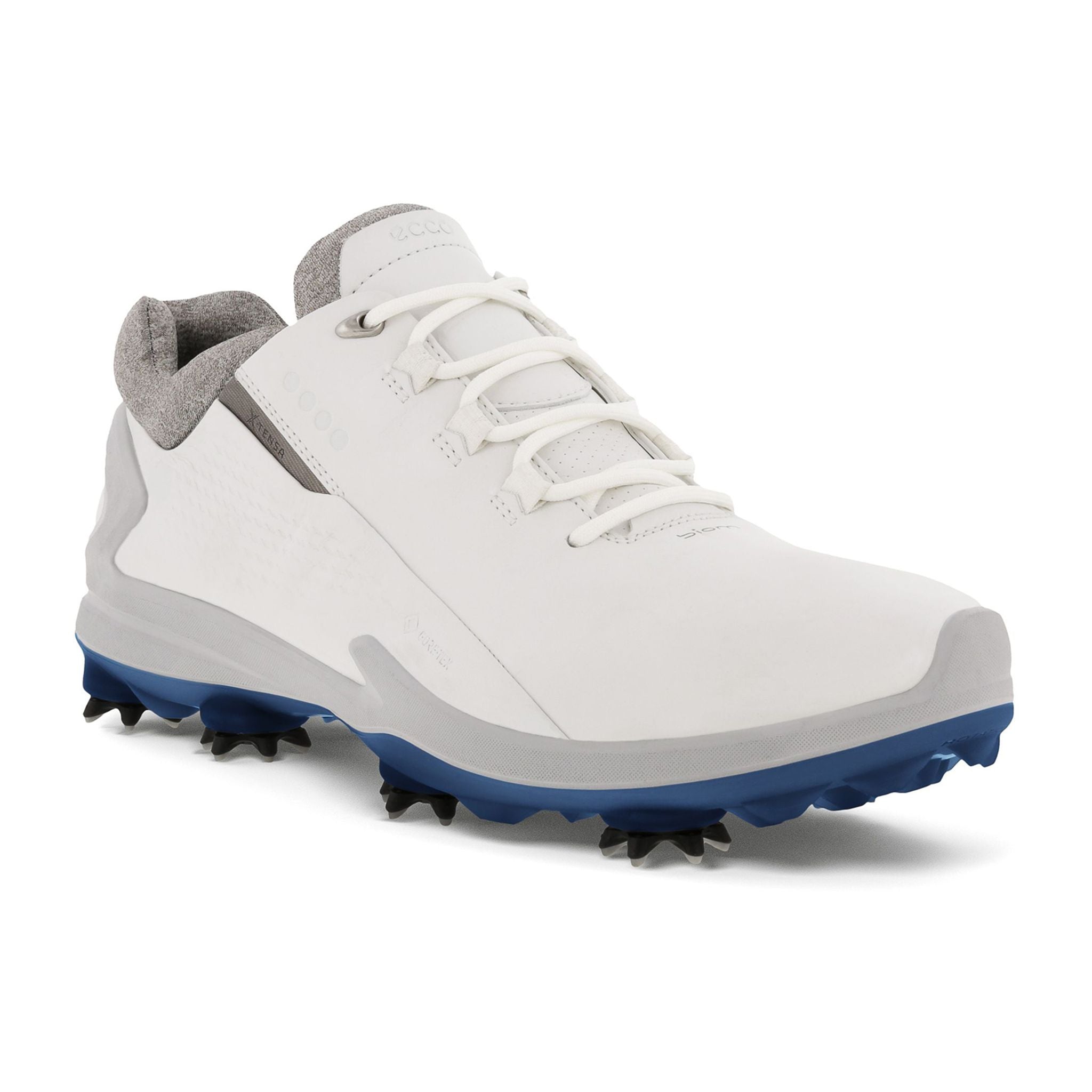 Chaussures de golf Ecco Biom G3 pour hommes