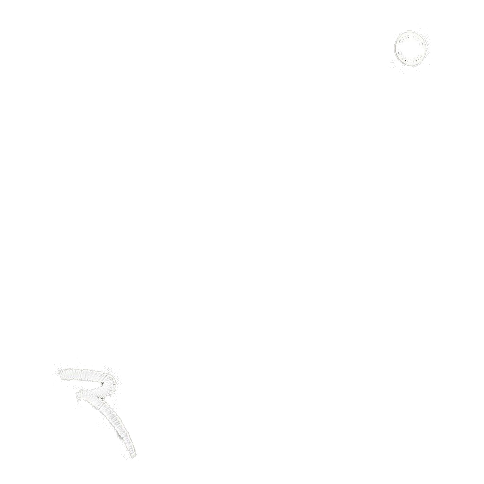 Pantalon Chervo W Sbiadir gris clair pour femme