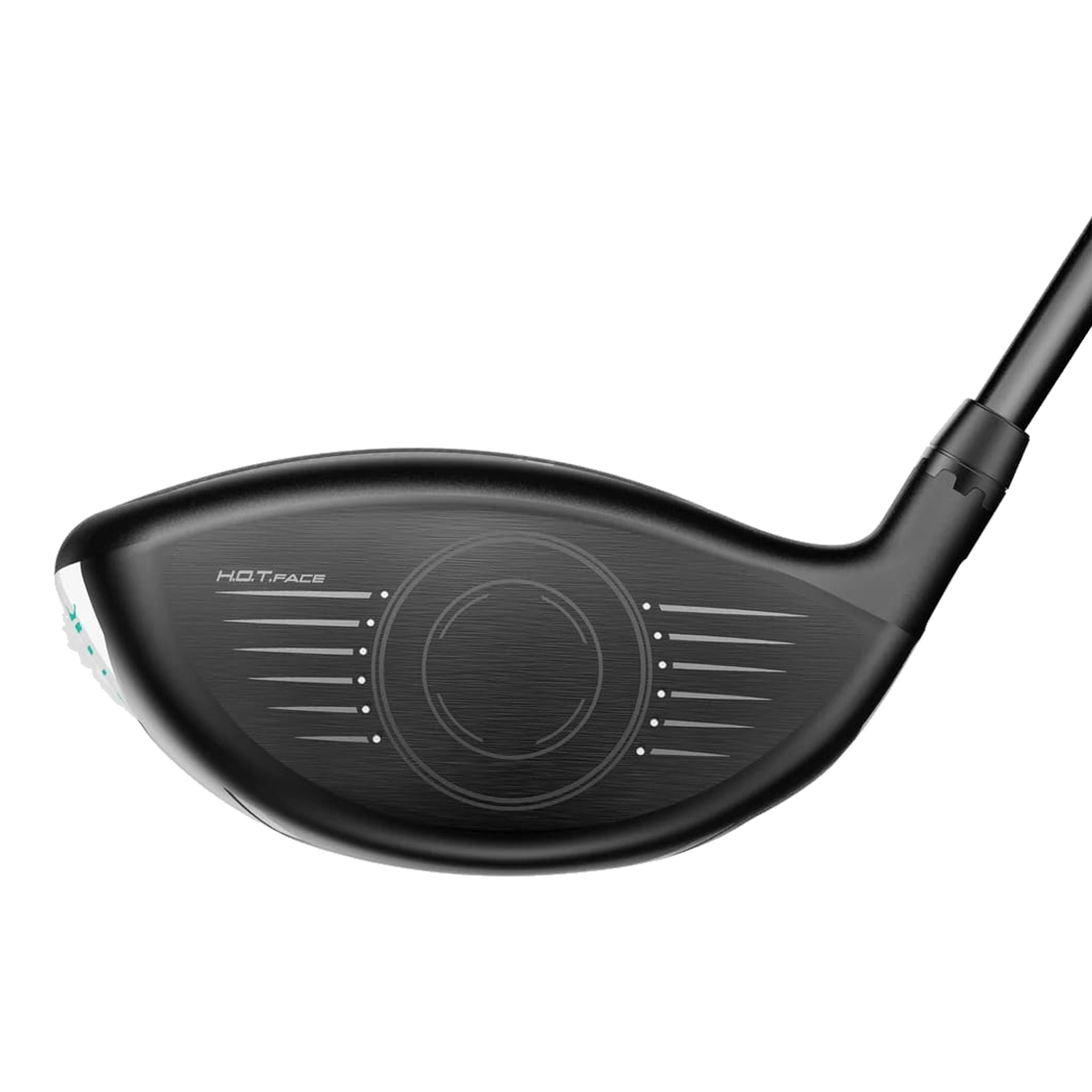 Cobra Aerojet PALM TREE CREW Chauffeurs Hommes