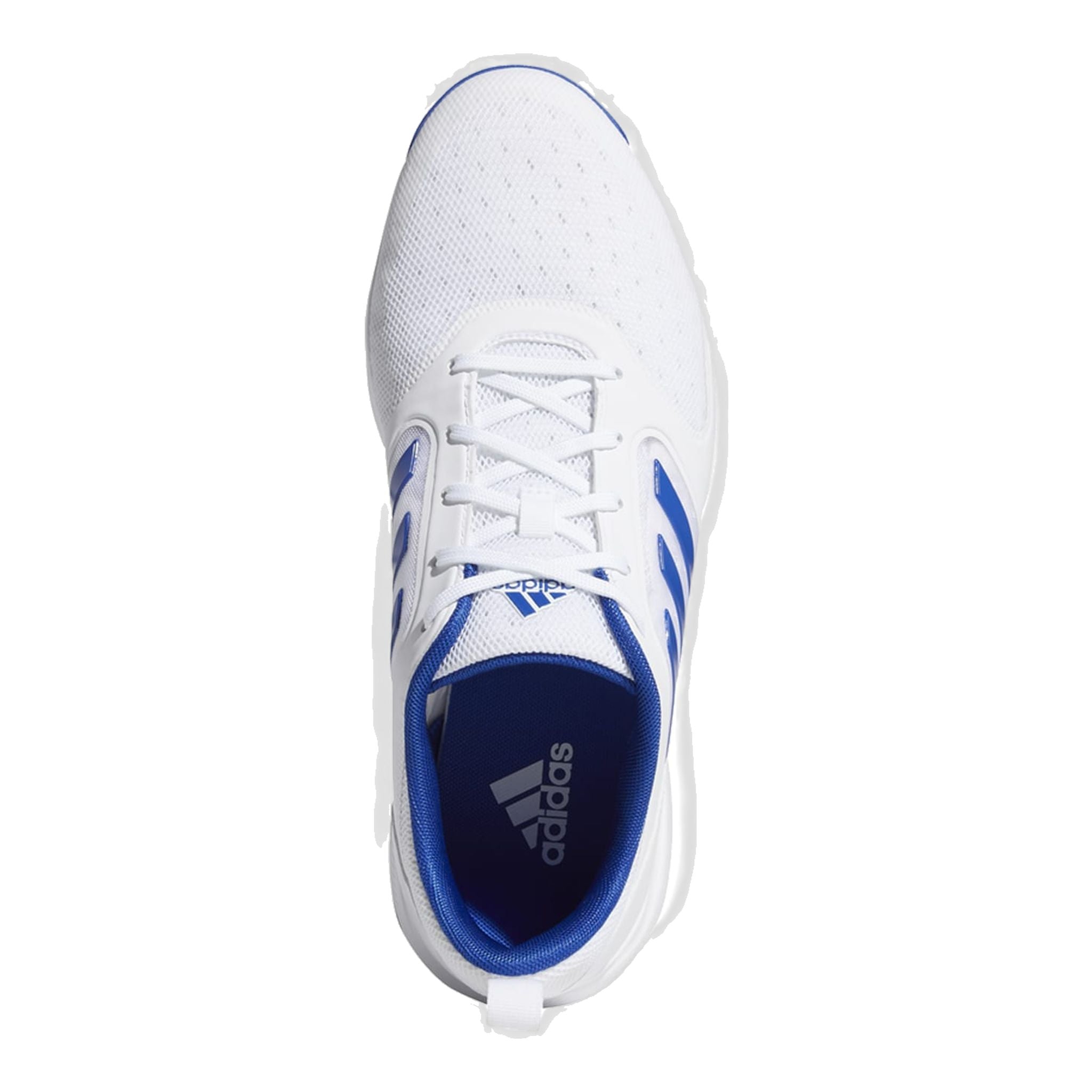 Adidas M CP Traxion SL Tex Blanc/Bleu royal/Argent Homme