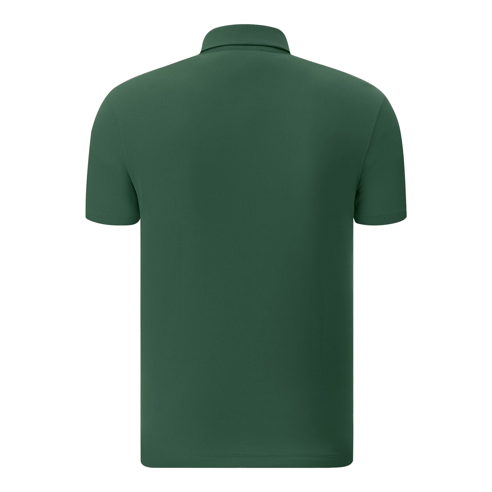 Polo Chervo Allas vert pour homme