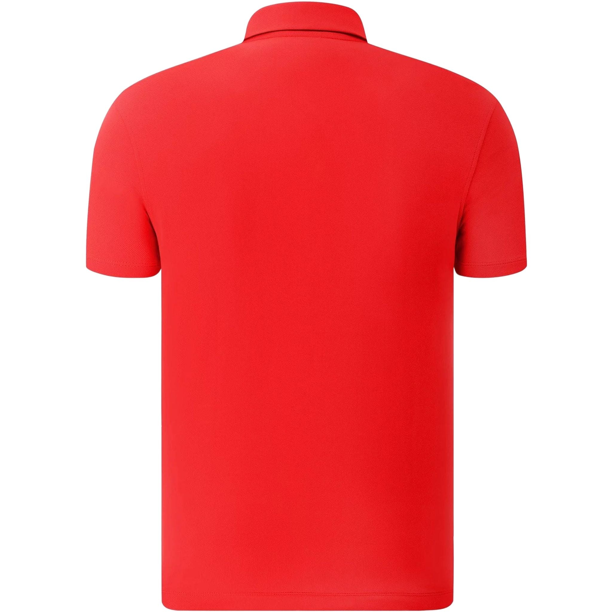 Polo Chervo Allas pour hommes