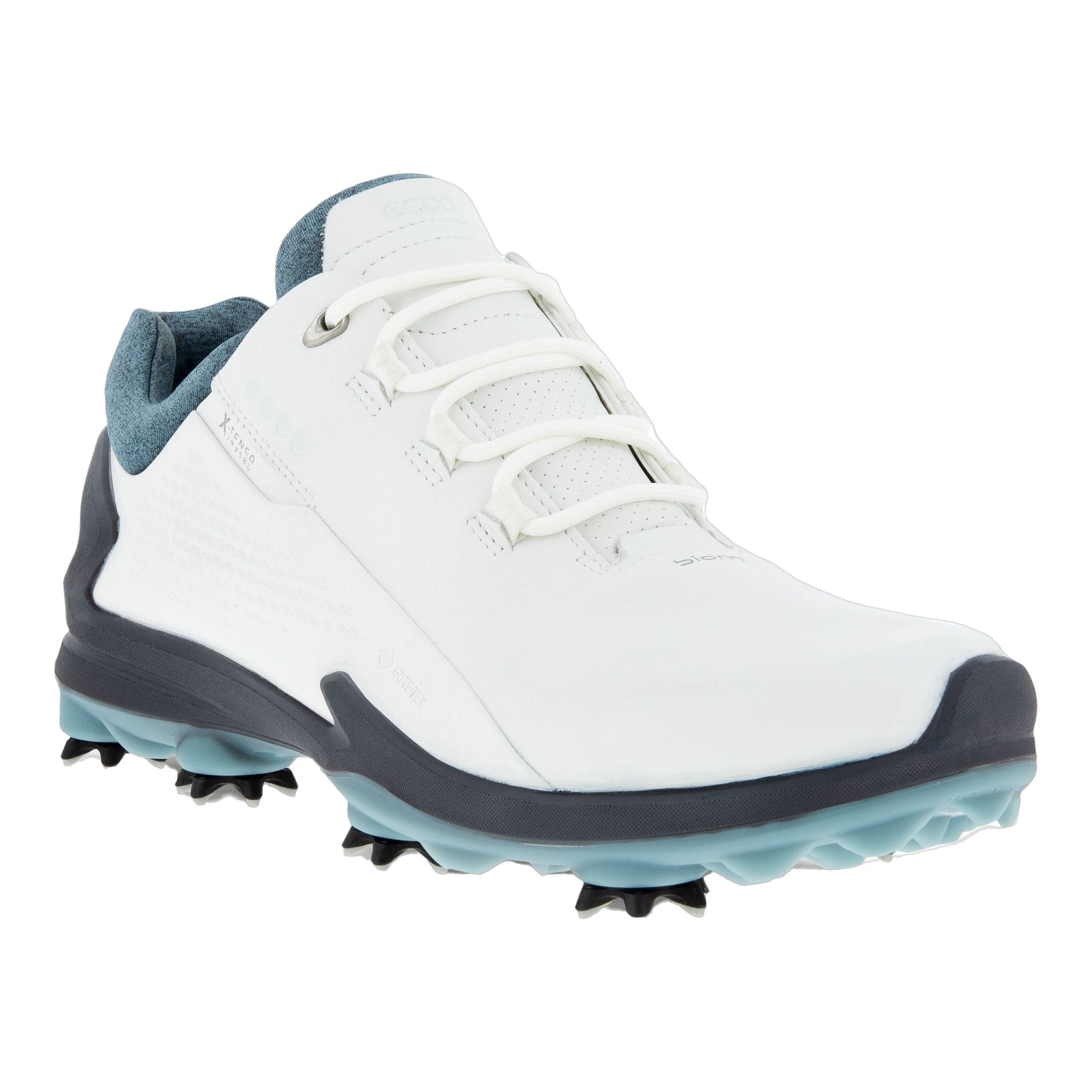 Chaussures de golf Ecco Biom G3 Gore-Tex Hommes