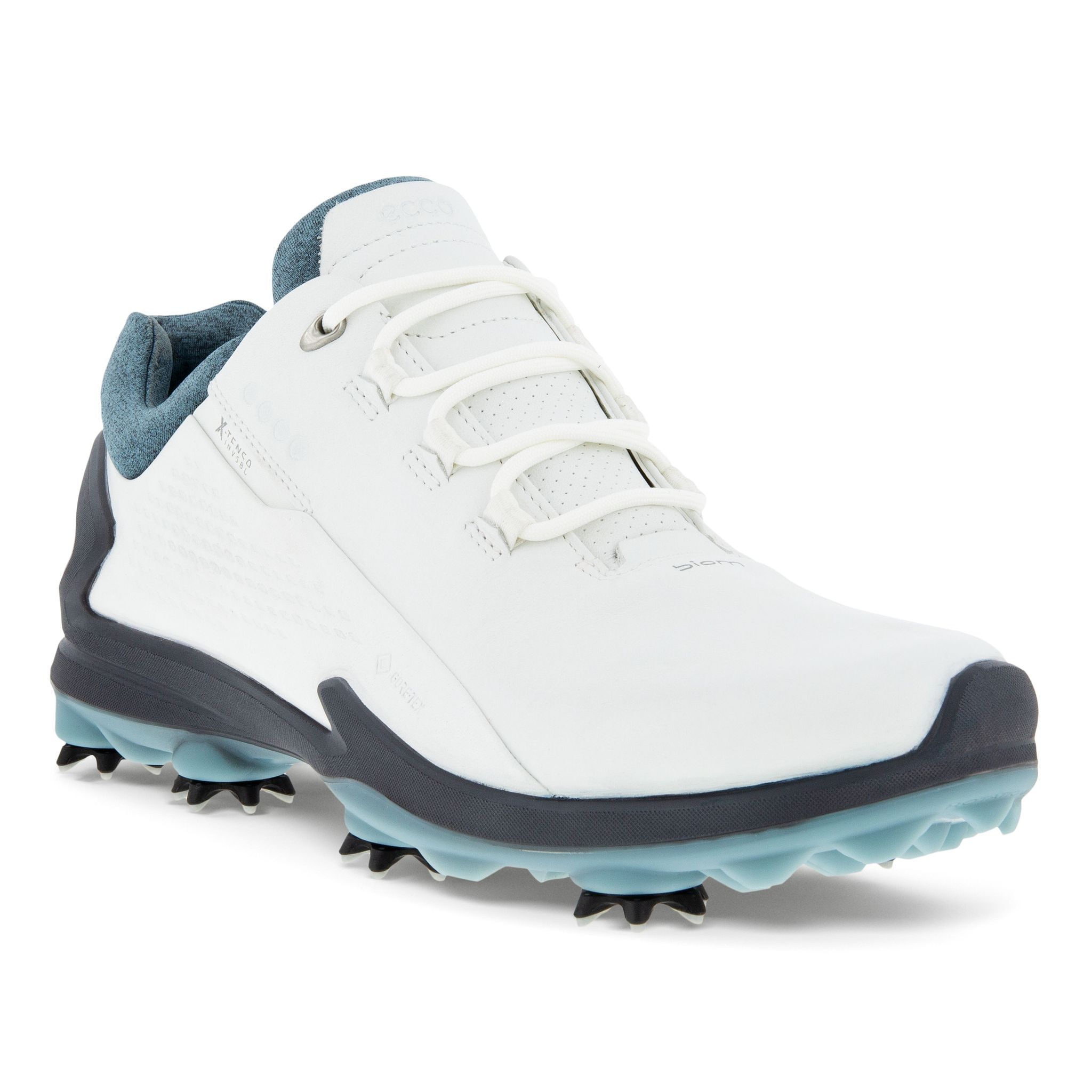 Chaussures de golf Ecco Biom G3 Gore-Tex pour hommes