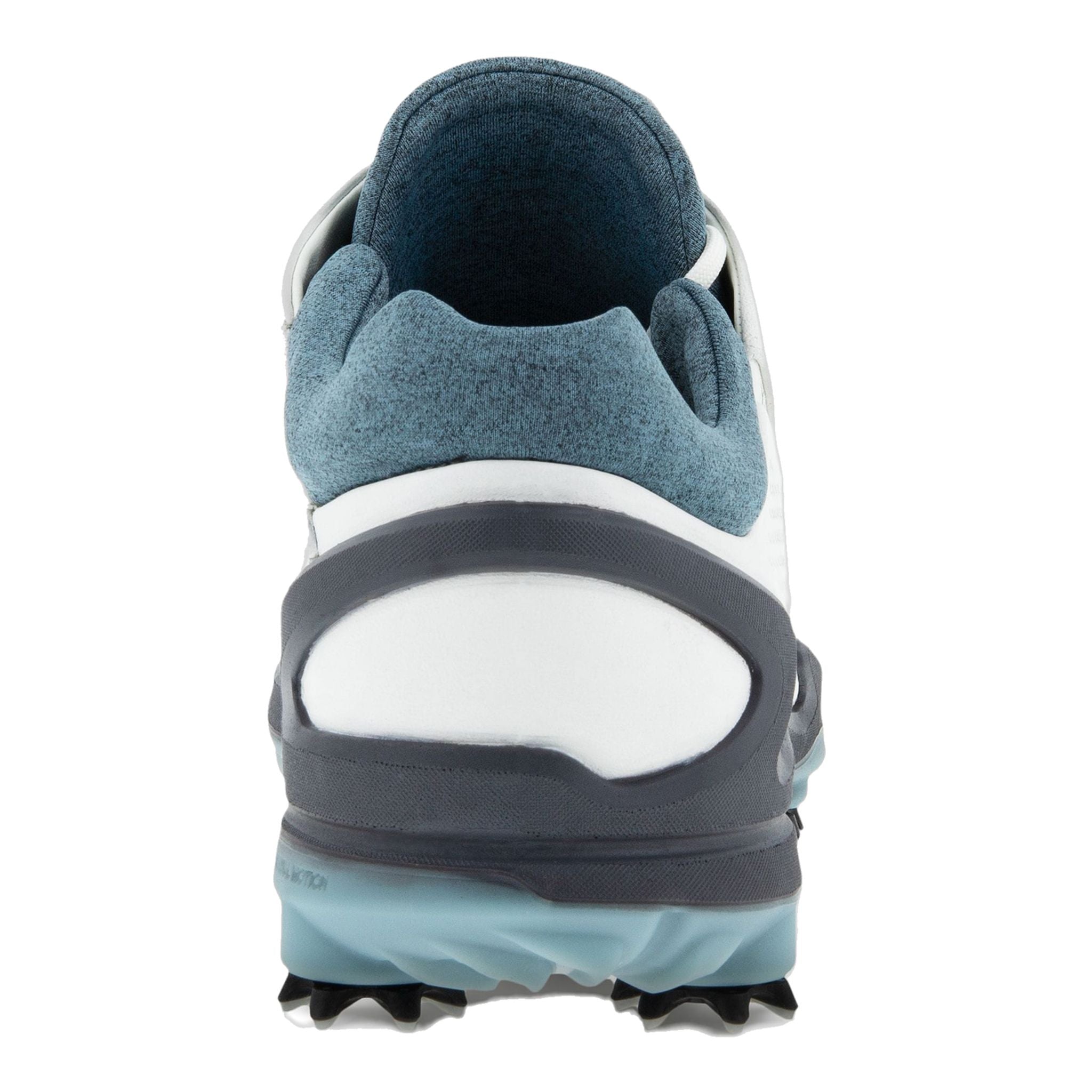 Chaussures de golf Ecco Biom G3 Gore-Tex Hommes