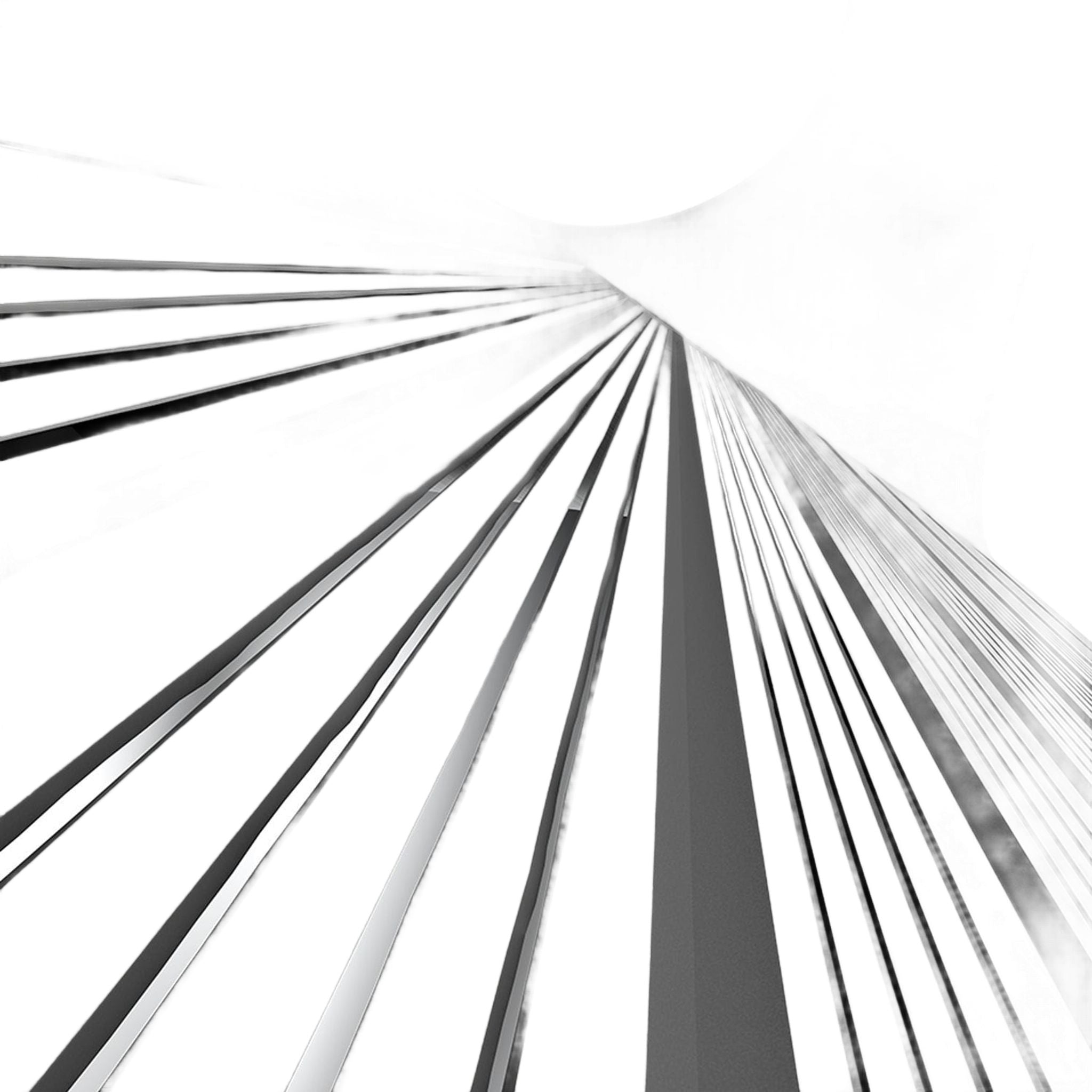 Cales compensées Cleveland CBX Zipcore pour femmes