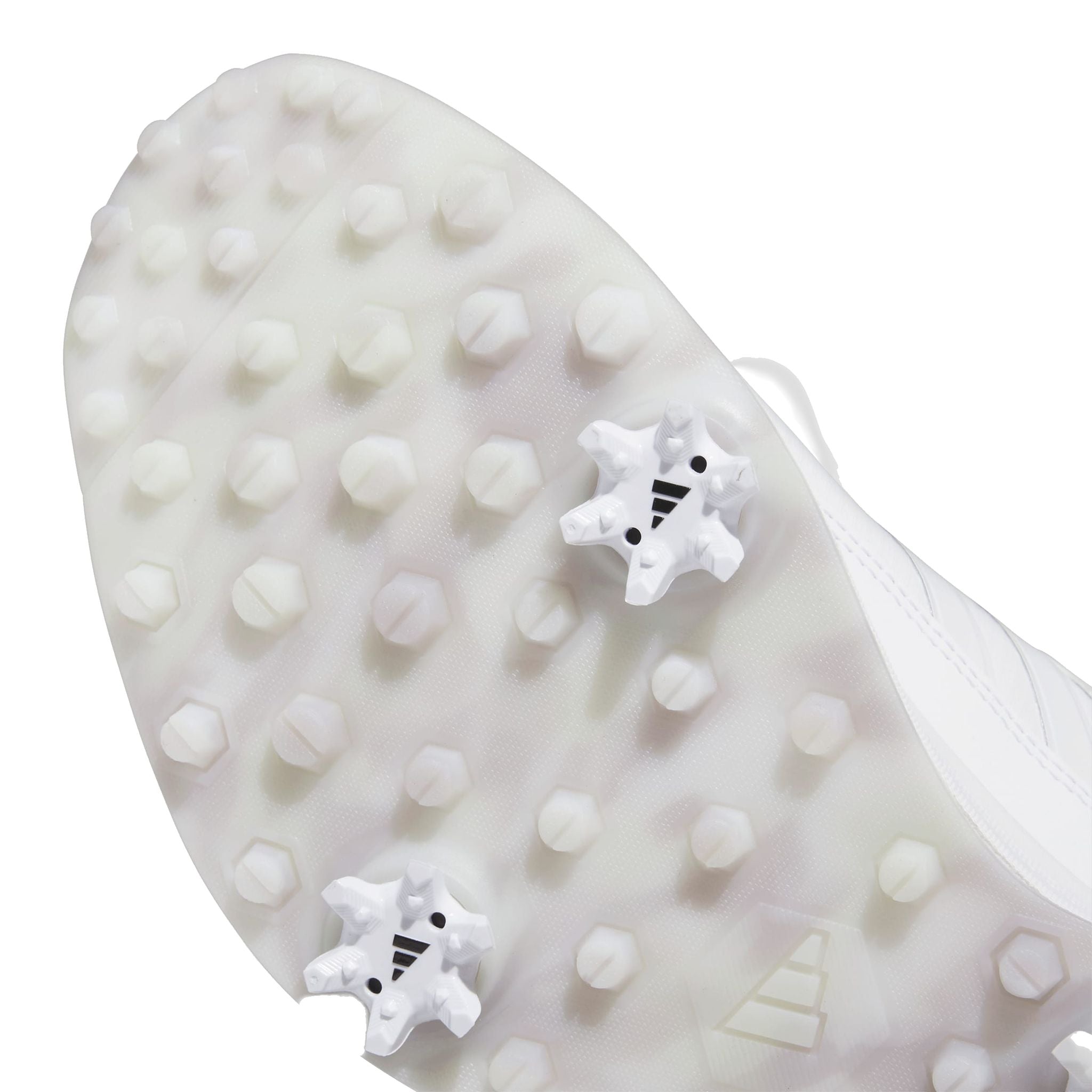 Chaussure de golf Adidas S2G Boa 24 pour femme