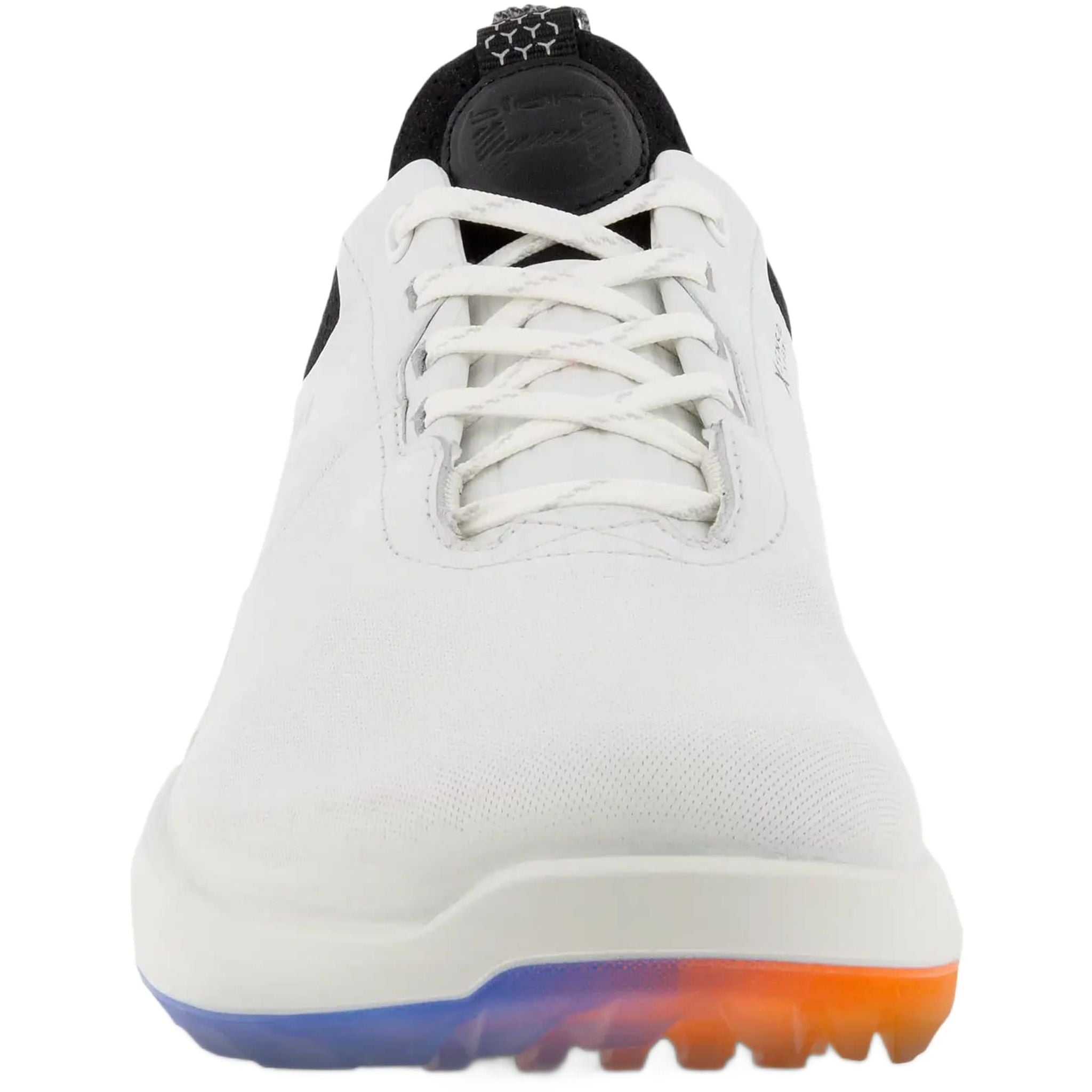 Chaussures de golf Ecco Biom H4 pour hommes