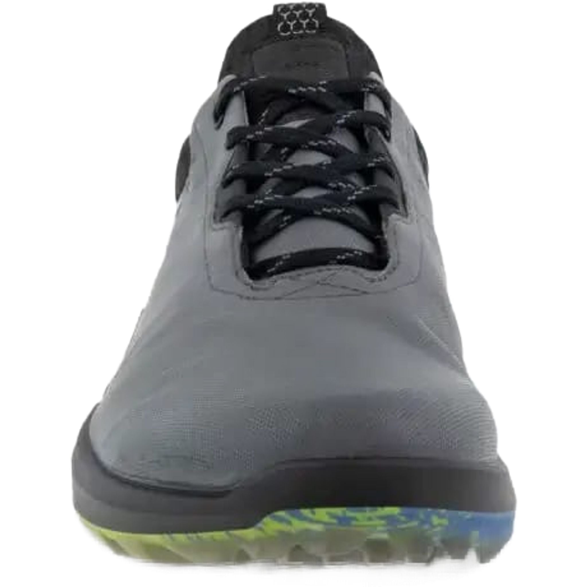 Chaussures de golf Ecco Biom H4 pour hommes