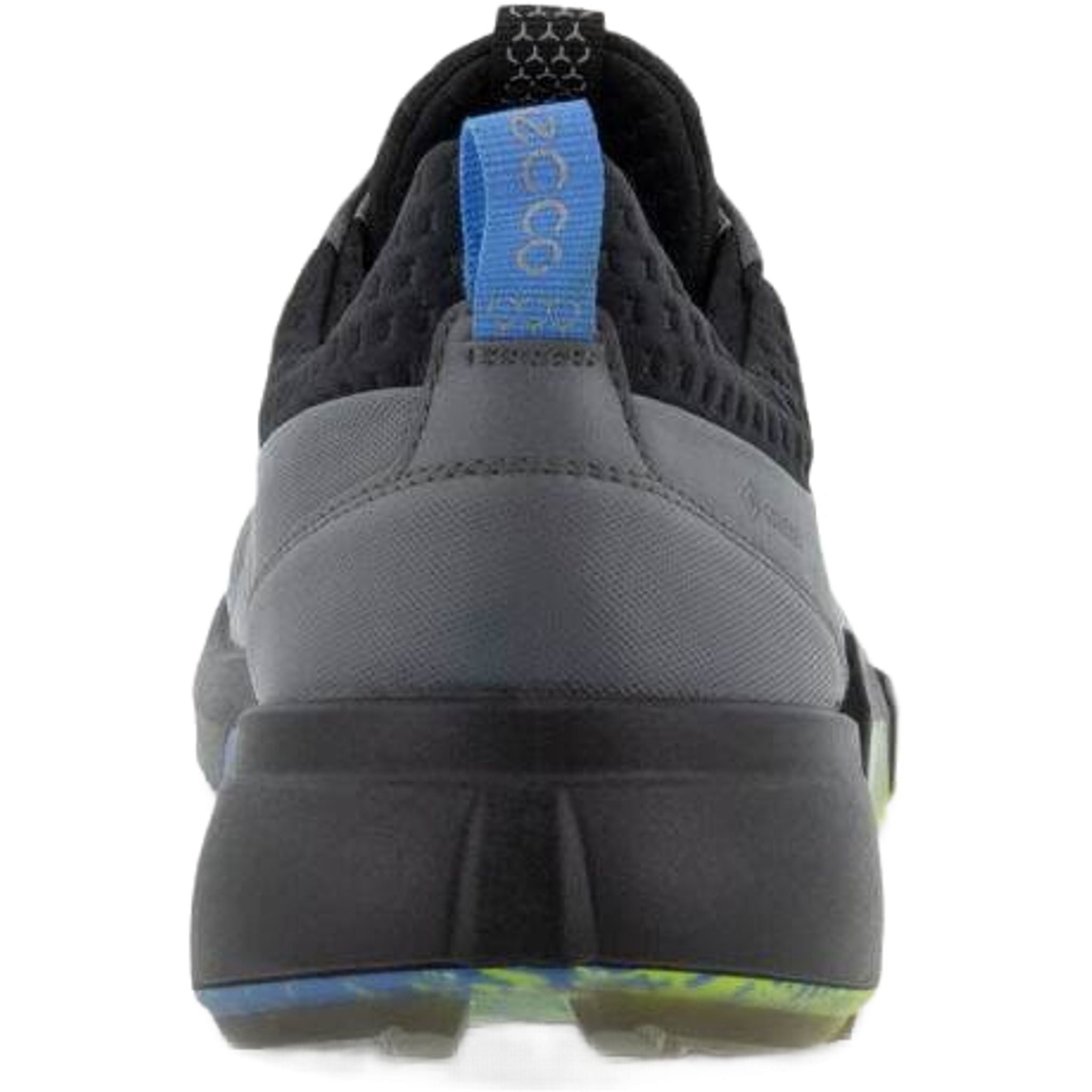 Chaussures de golf Ecco Biom H4 pour hommes