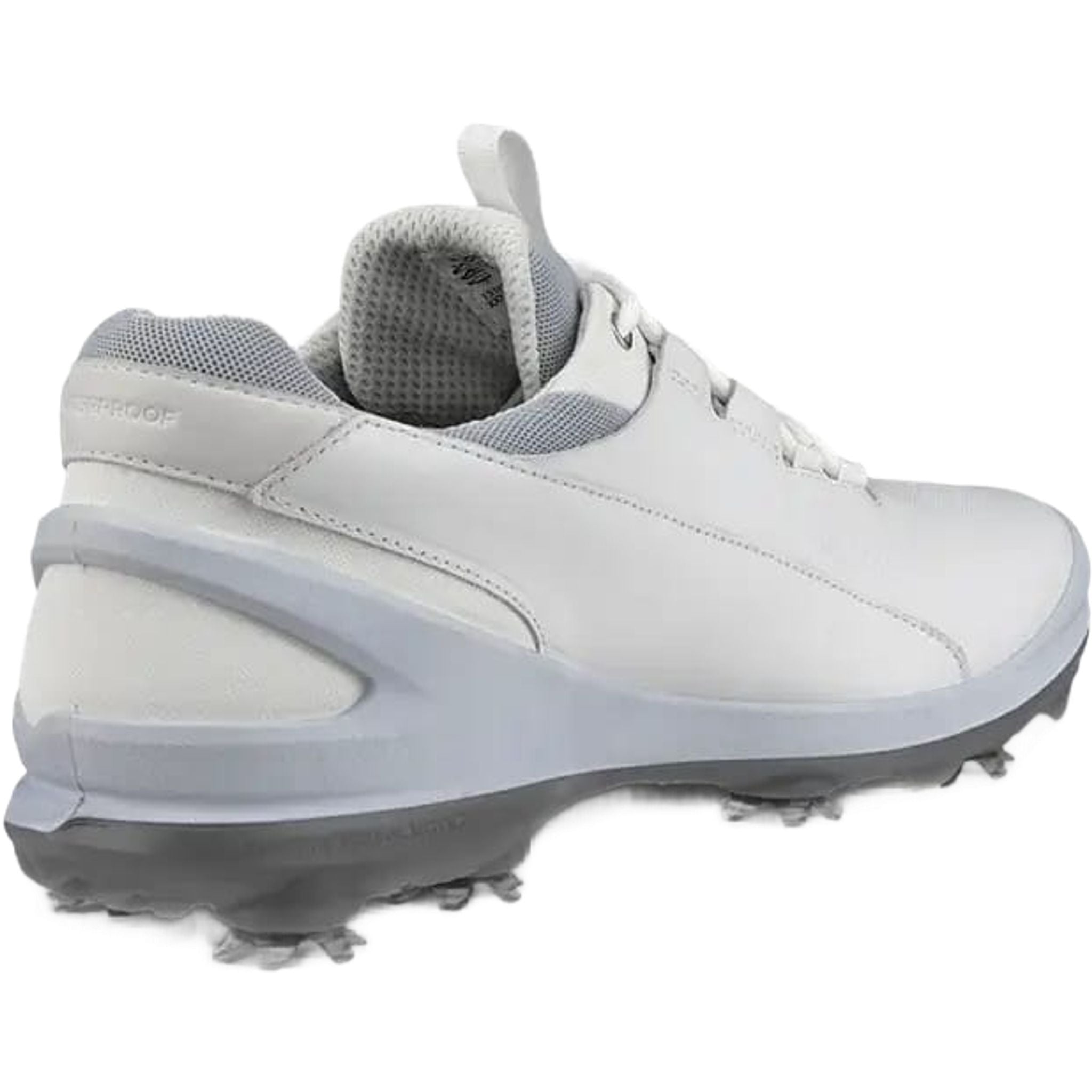 Chaussures de golf Ecco Biom Tour pour hommes