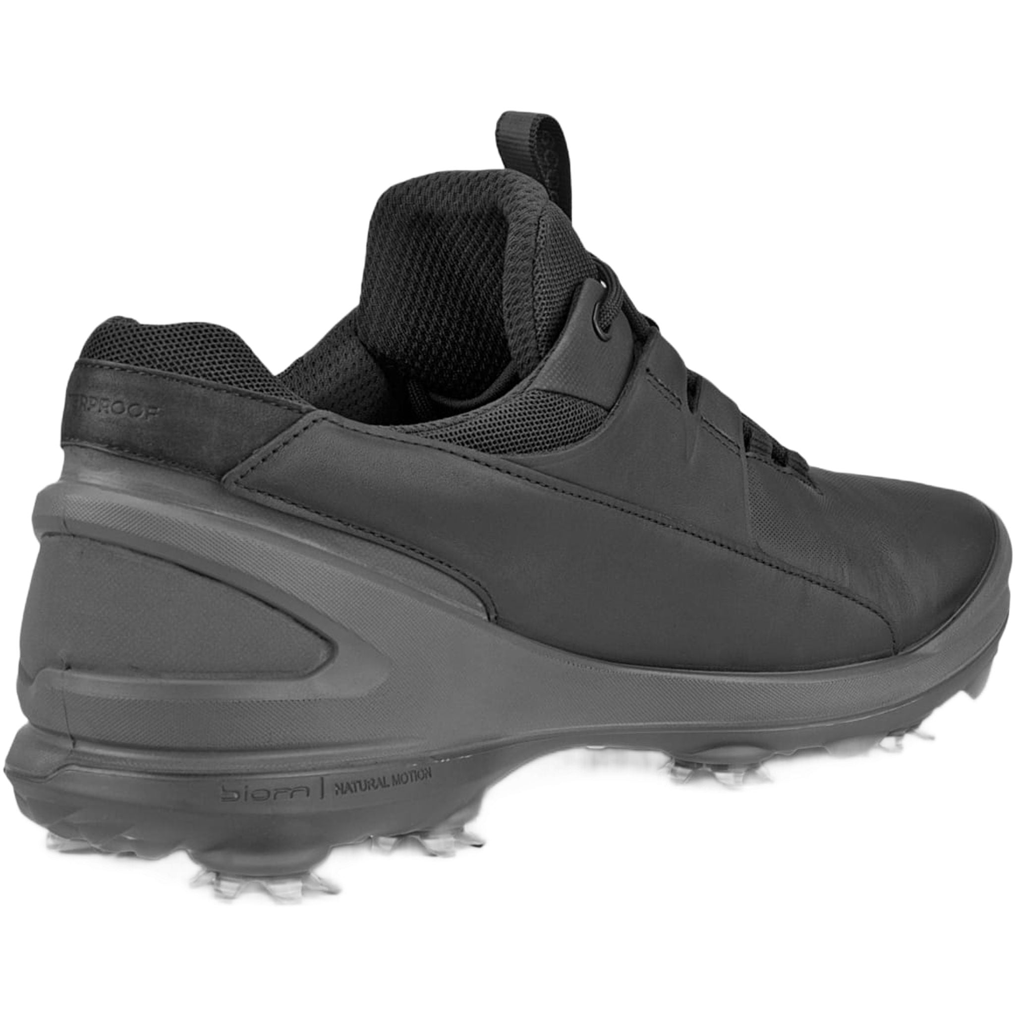 Chaussures de golf Ecco Biom Tour pour hommes