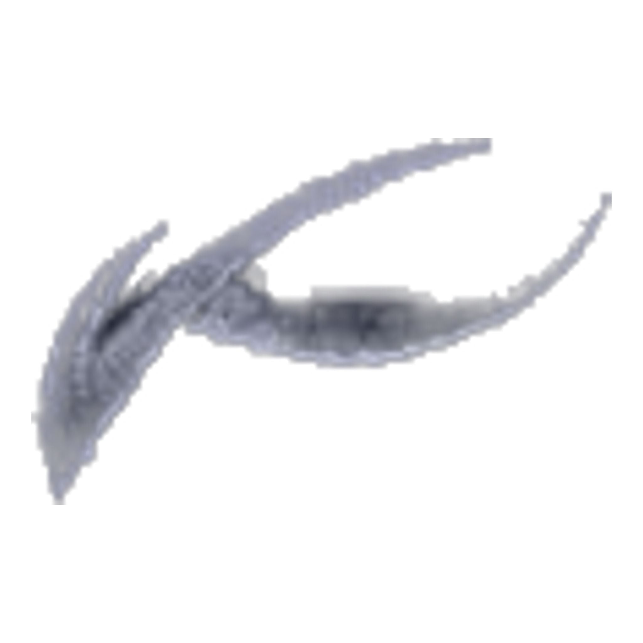 Shorts Kjus Ike Cardinal Homme