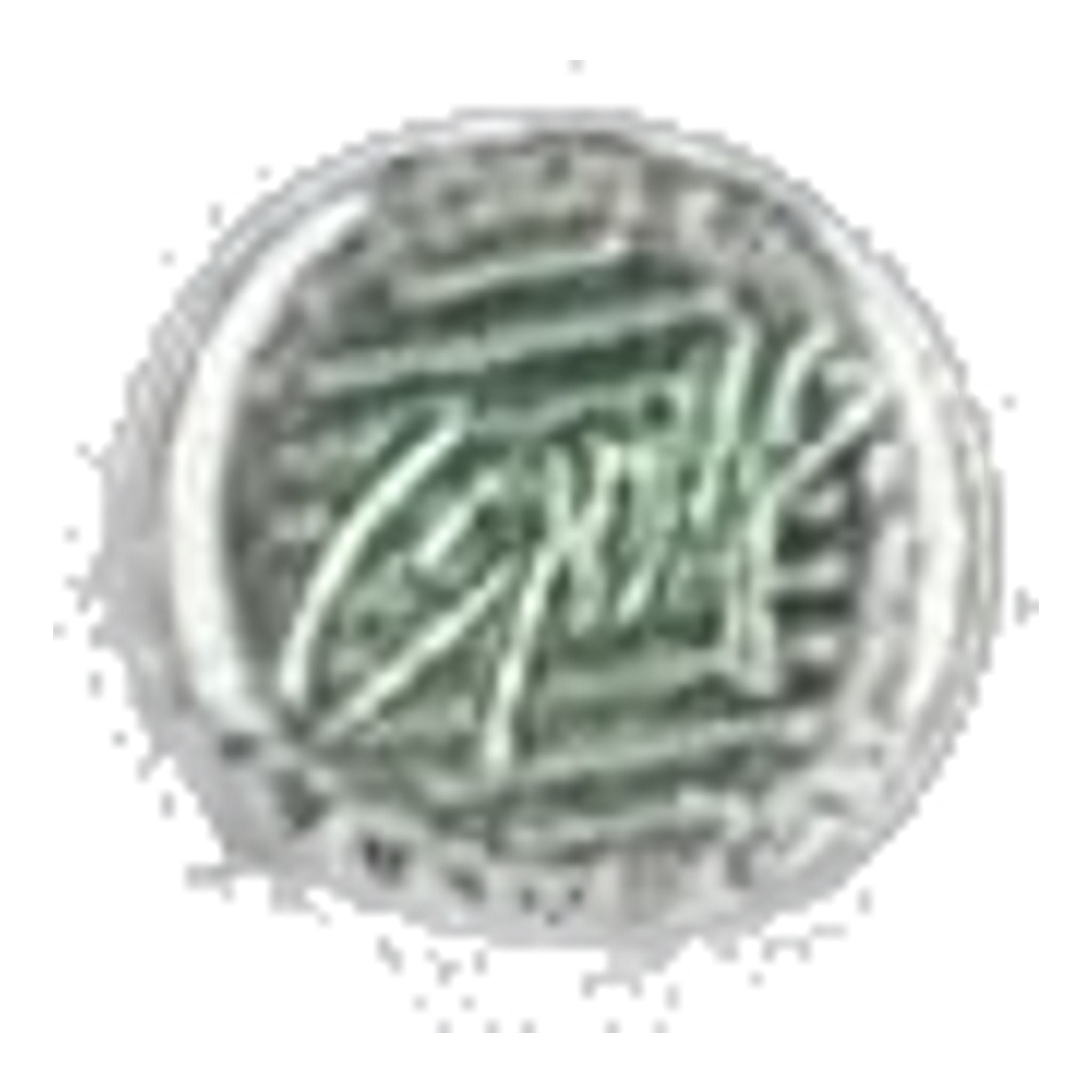 Pantalon de golf Alberto ROOKIE Smart Check pour homme