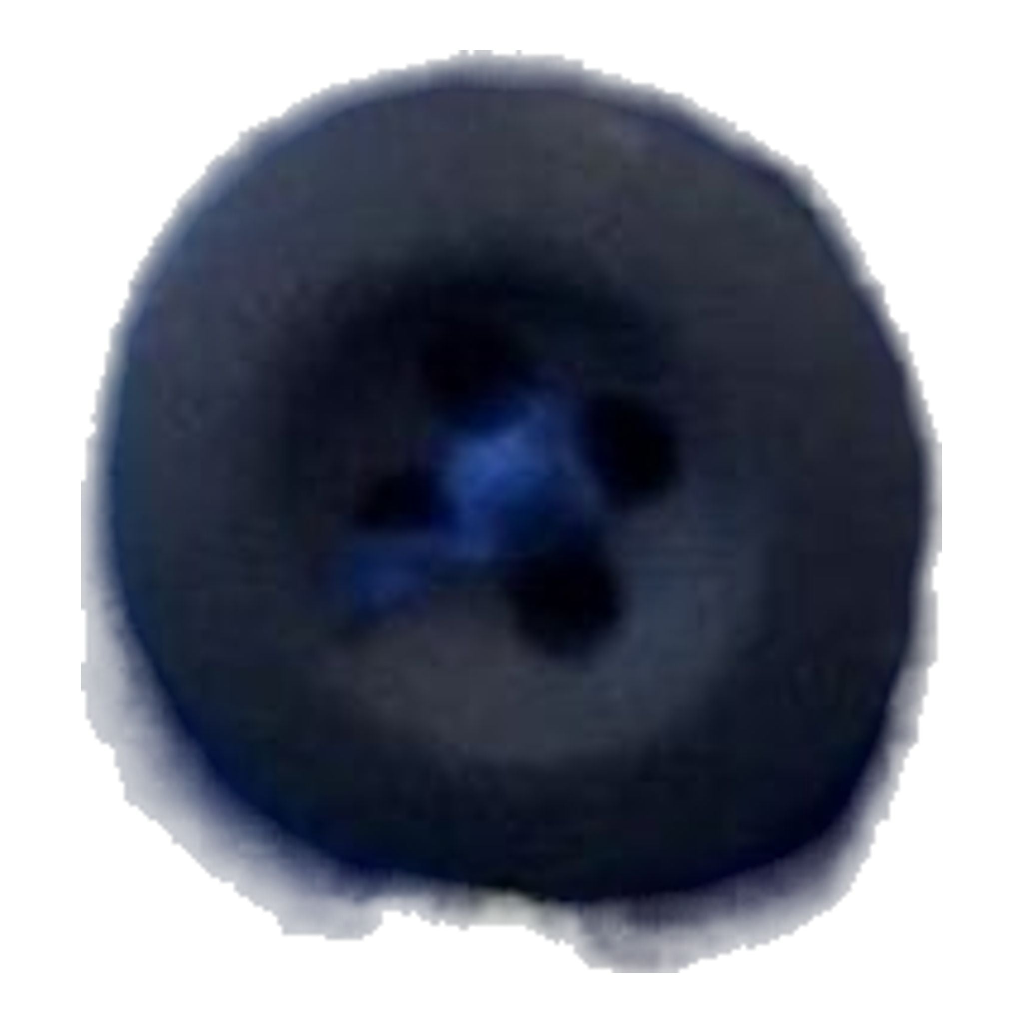 Alberto Rookie Rev. Vérifiez Waterrep. Pantalons de golf pour hommes