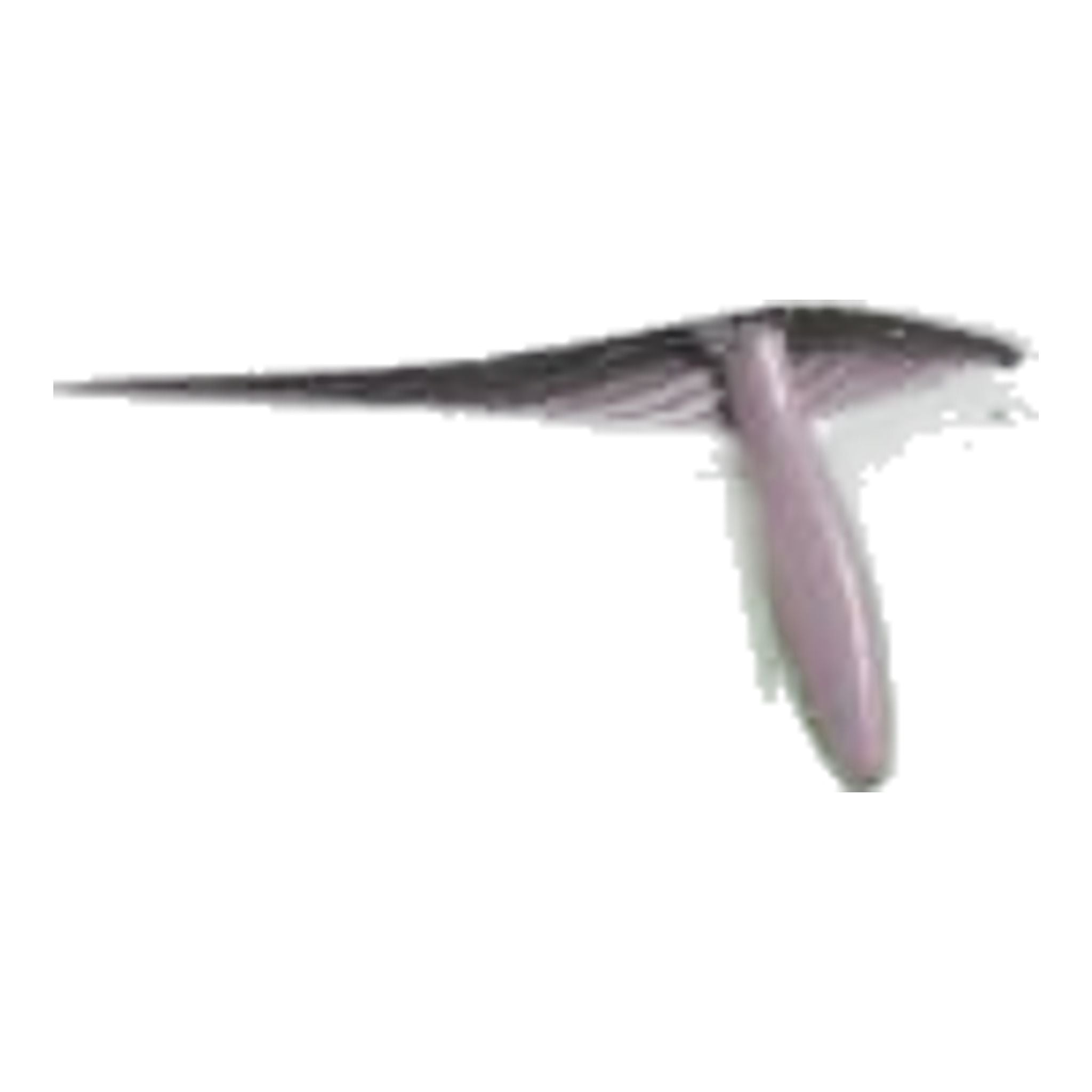 Jupe-short imprimée Adidas pour femme