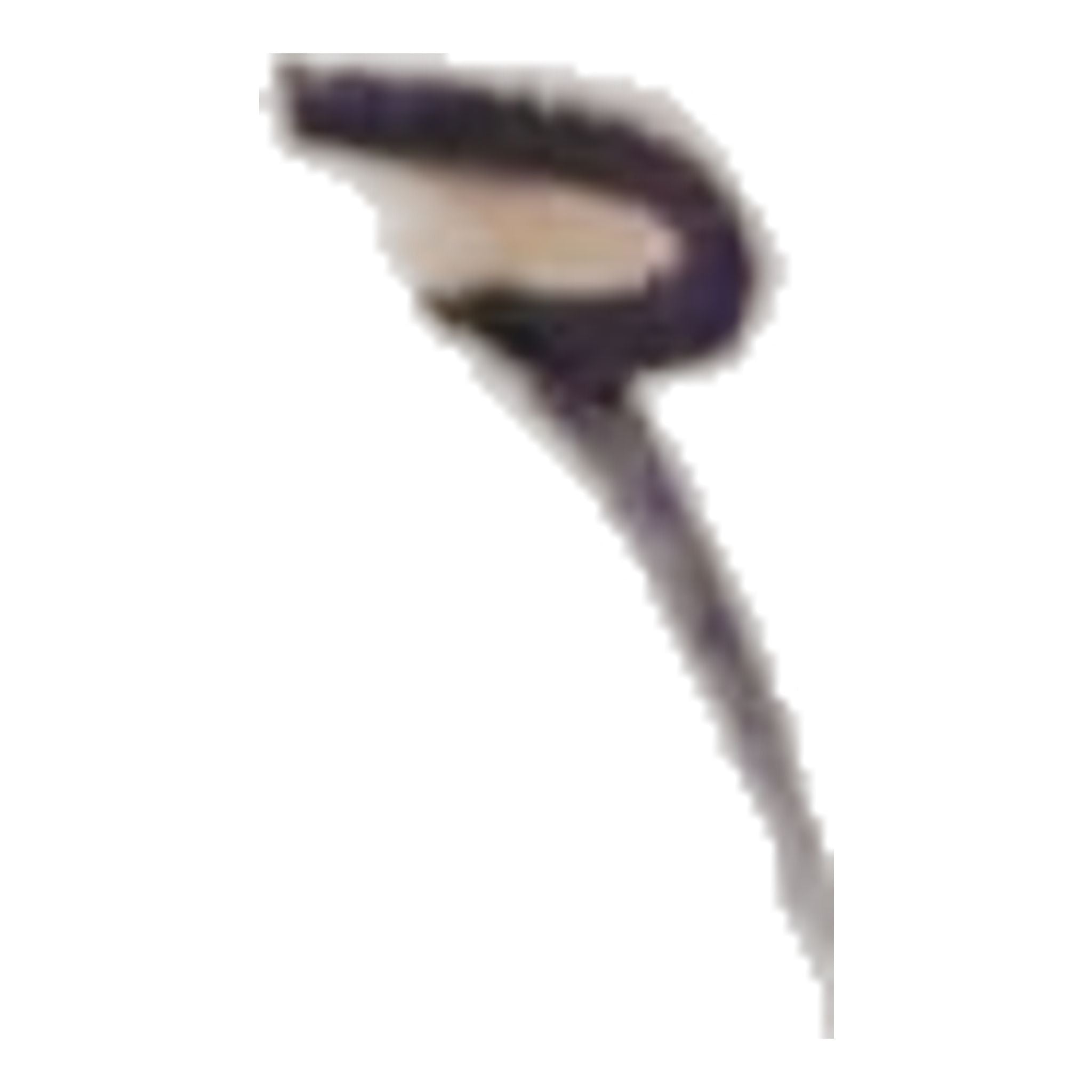 Pantalon de golf Chervo Scotch pour homme