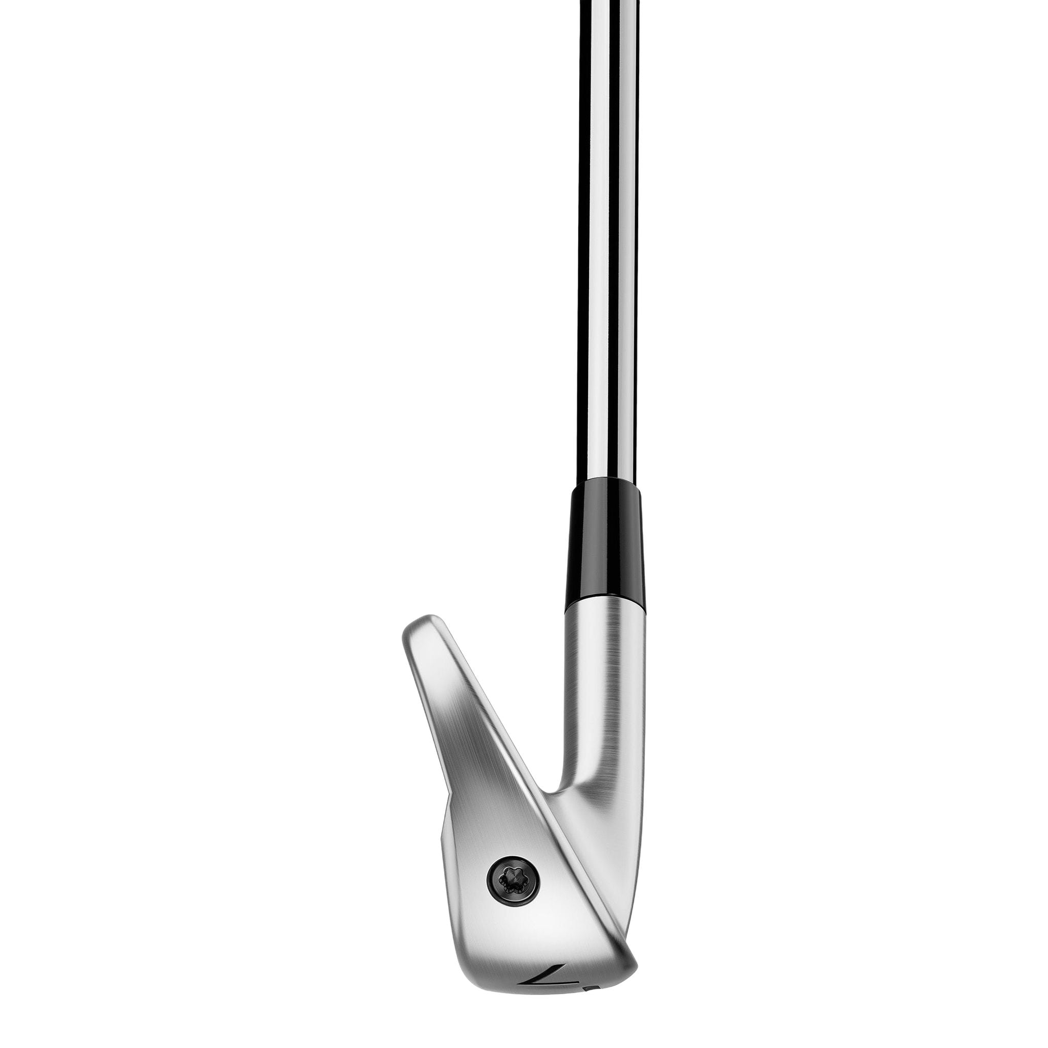 Série de fers TaylorMade P790 25 pour hommes
