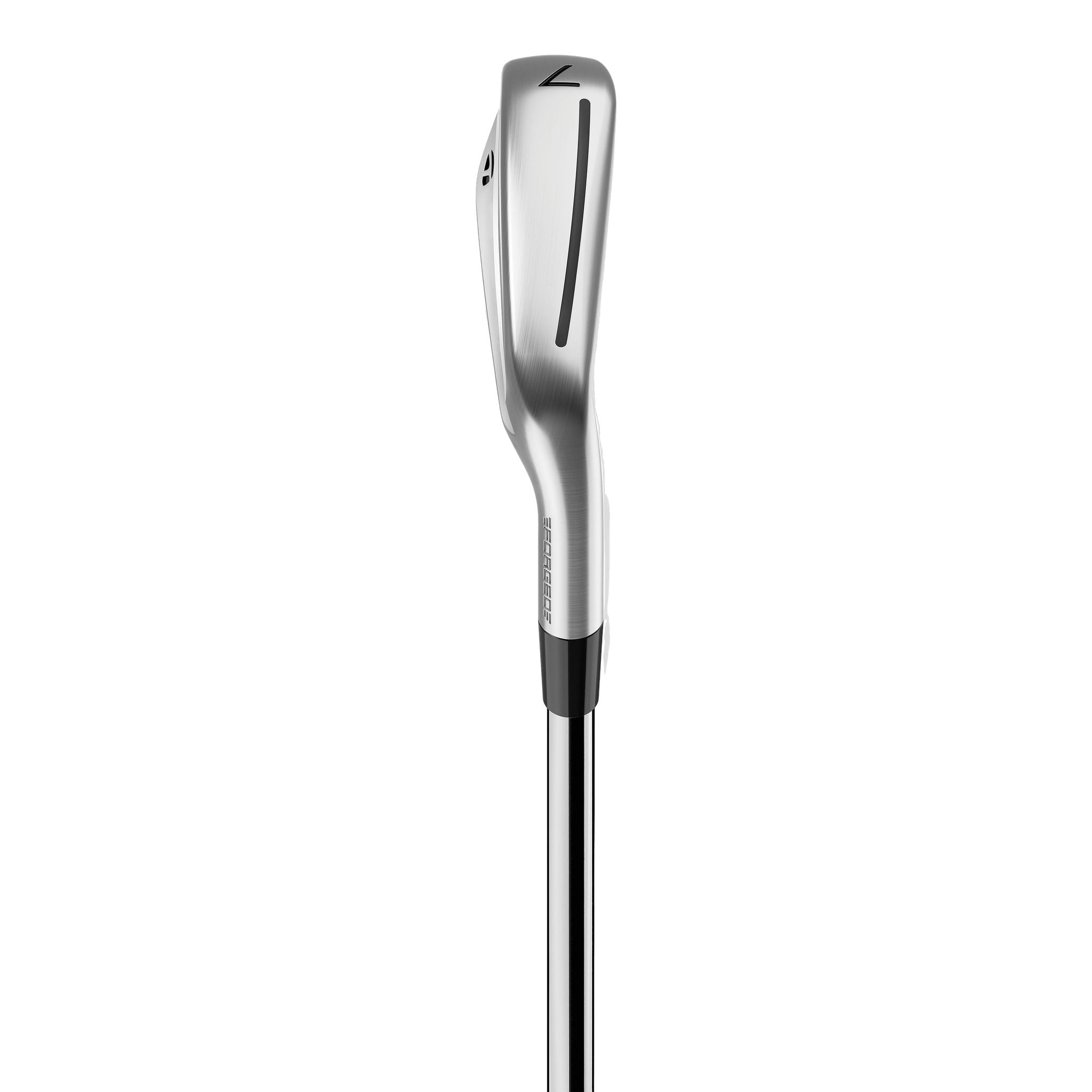 Série de fers TaylorMade P790 25 pour hommes