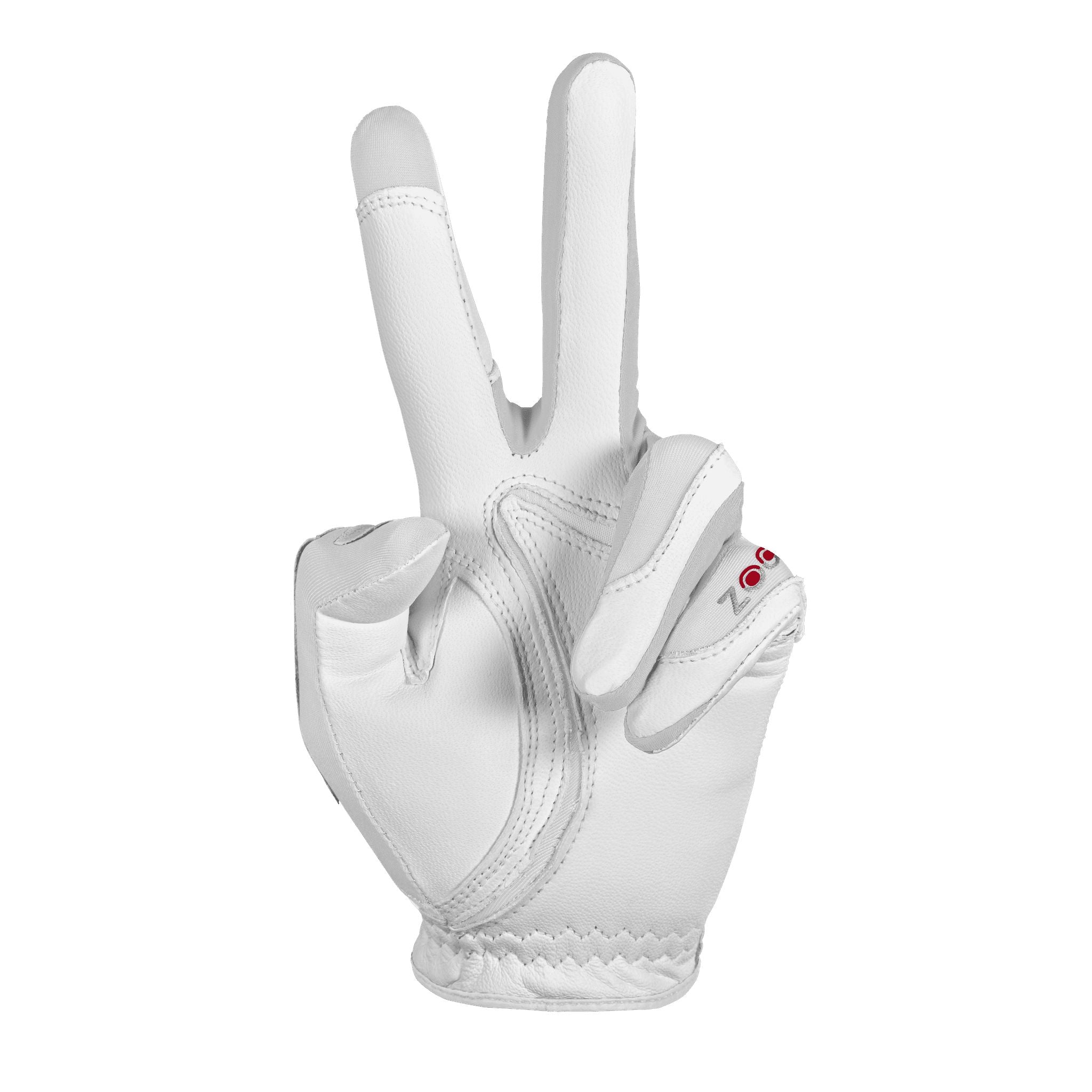 Gants de golf Zoom Tour pour hommes