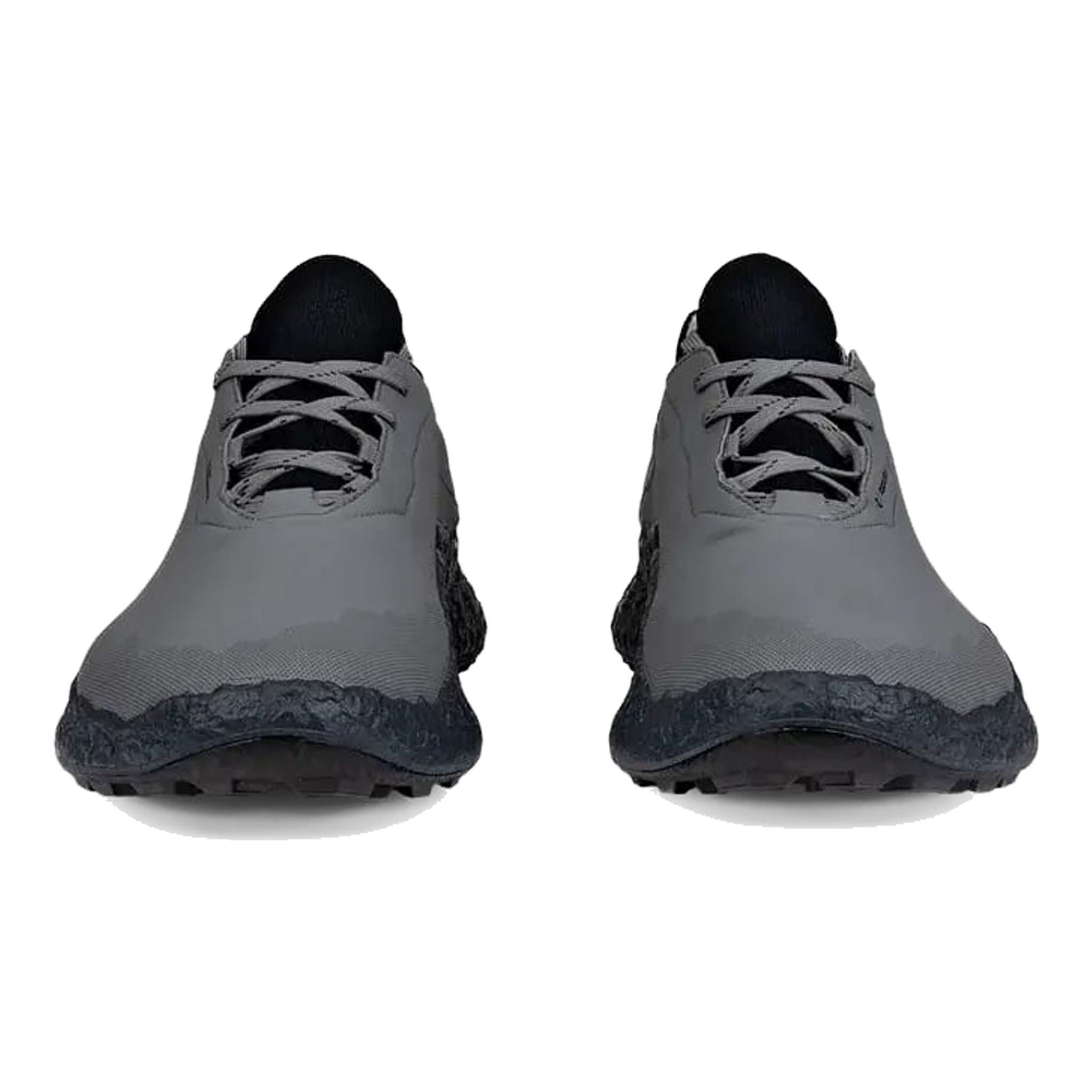Chaussures de golf Ecco Biom H5 pour hommes