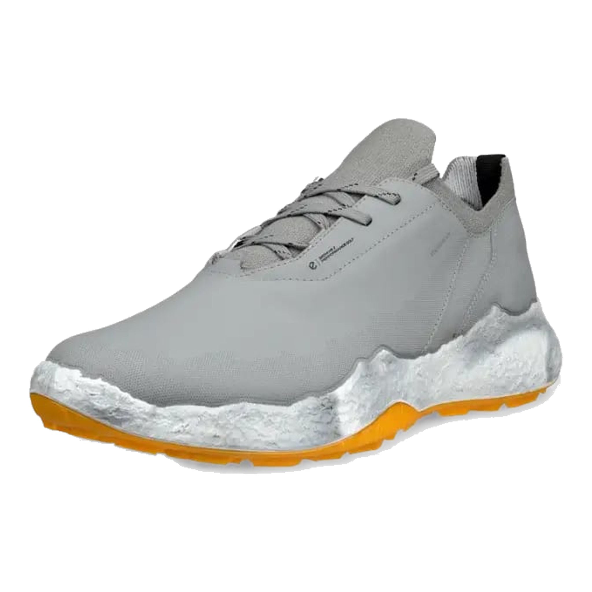 Chaussures de golf Ecco Biom H5 pour hommes