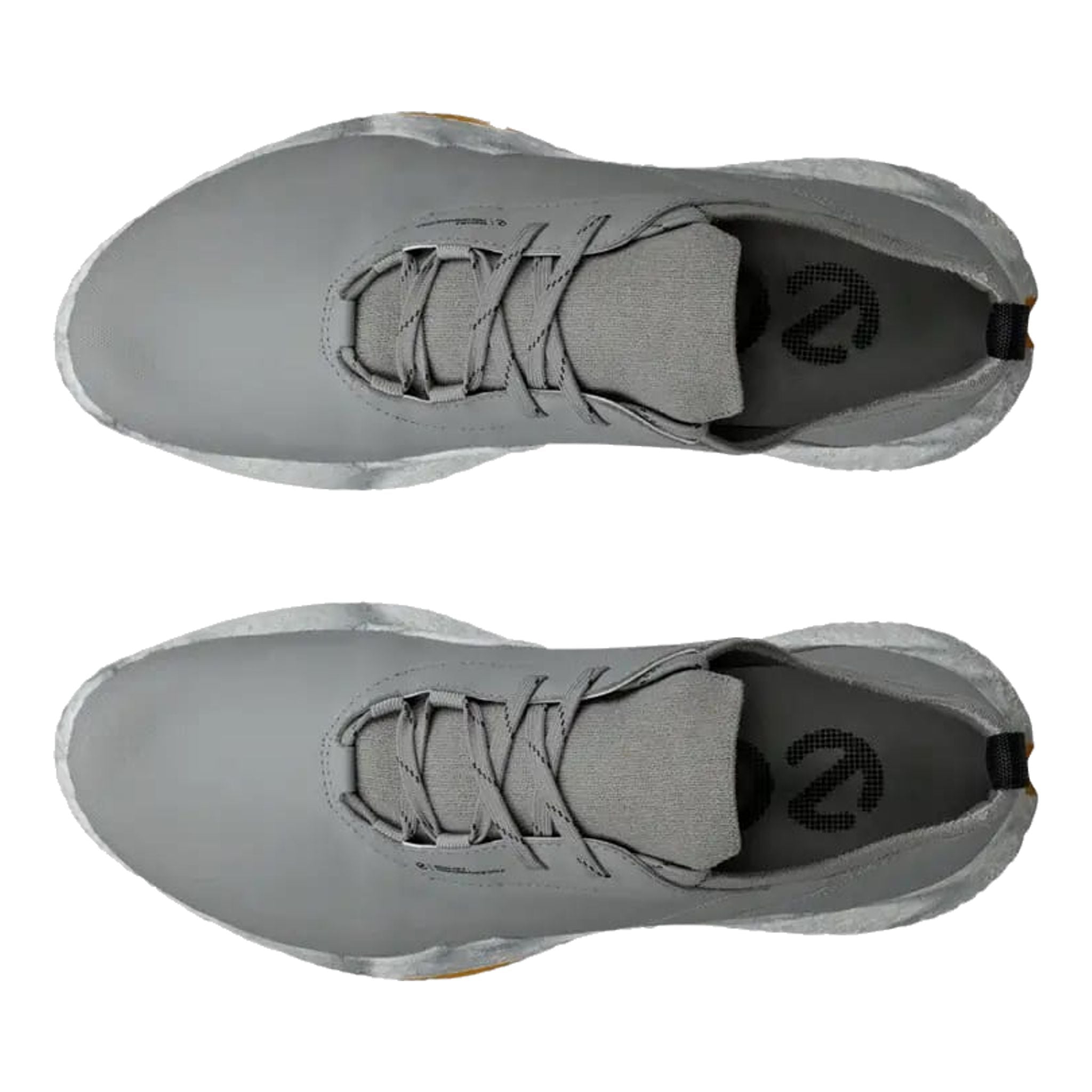 Chaussures de golf Ecco Biom H5 pour hommes