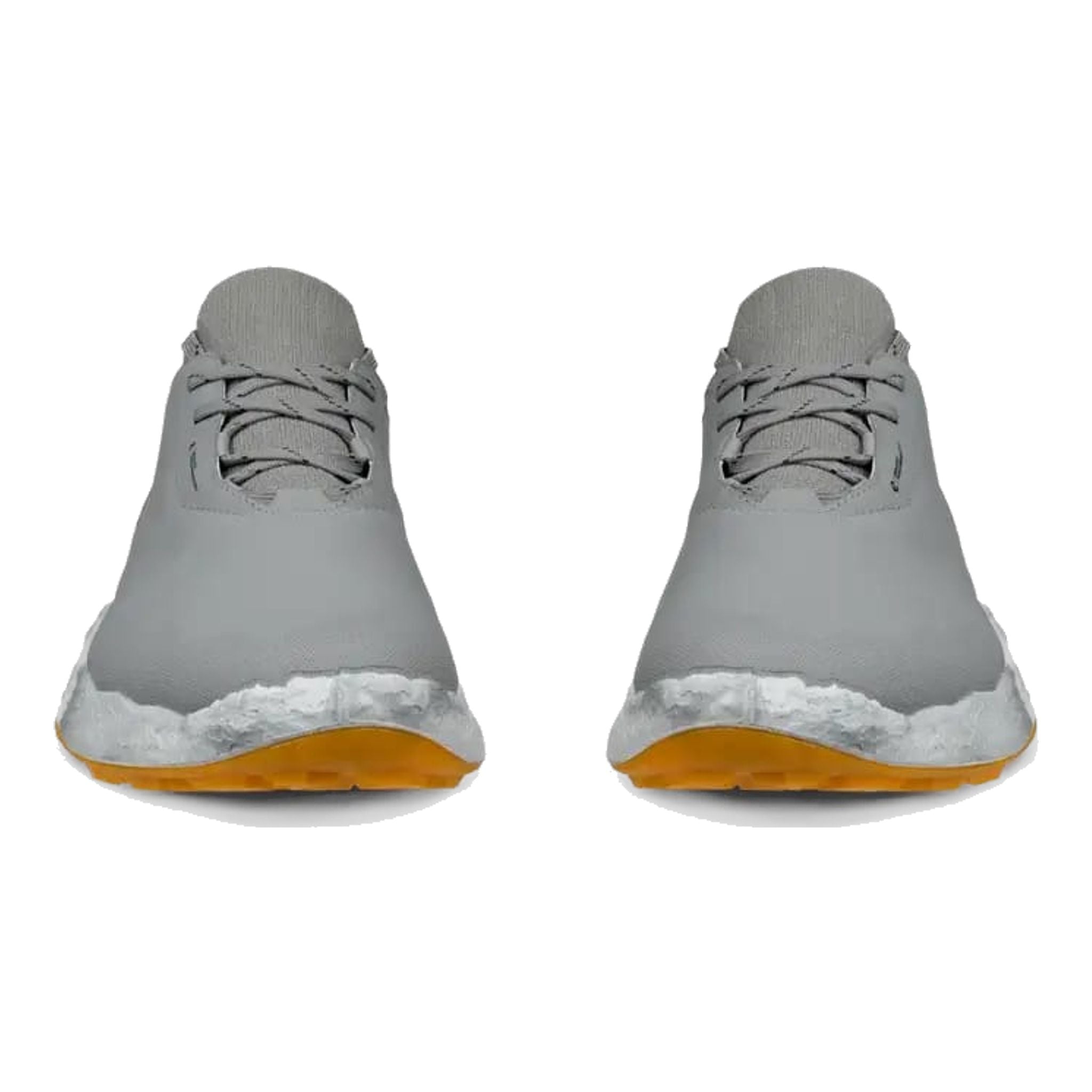 Chaussures de golf Ecco Biom H5 pour hommes