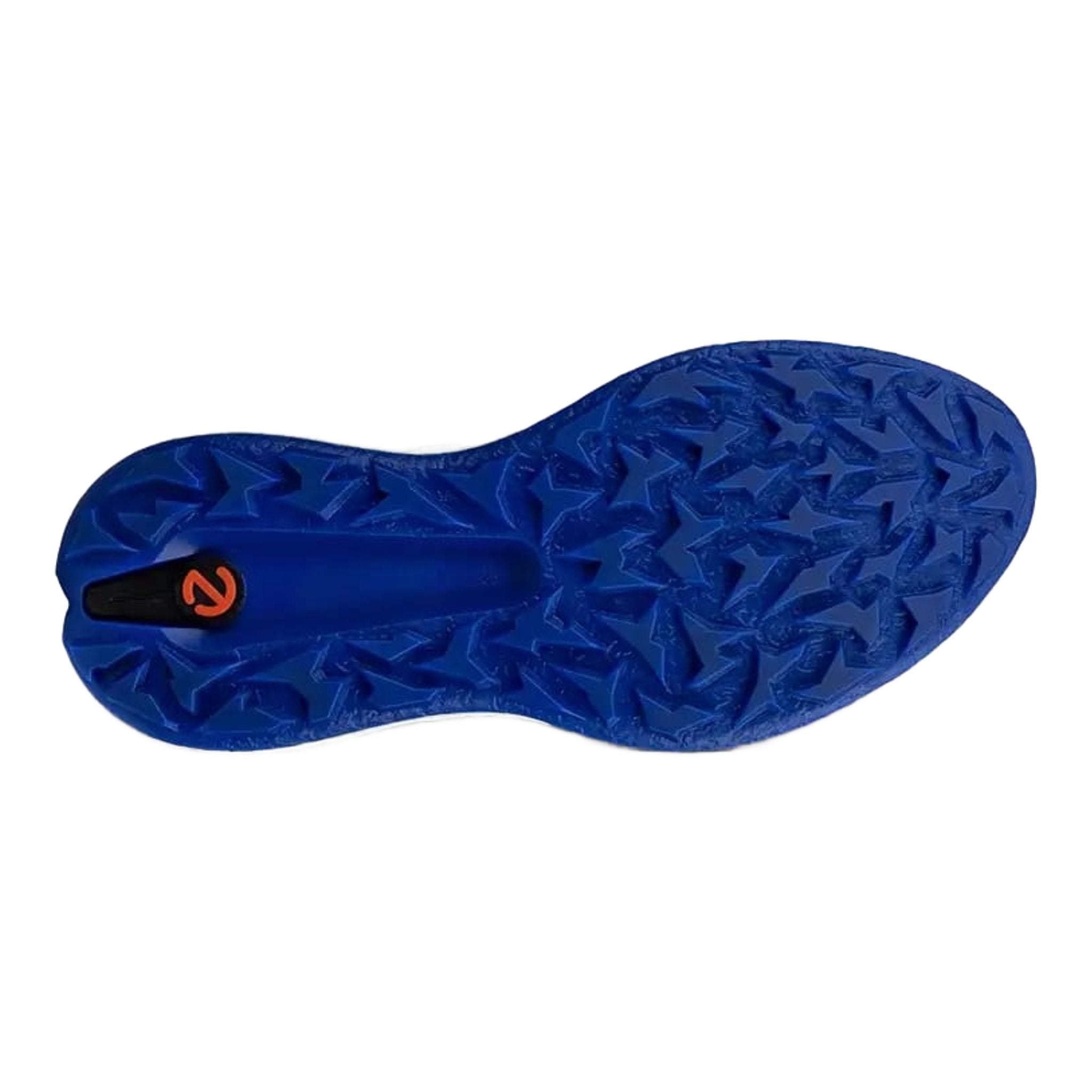 Chaussures de golf Ecco Biom H5 pour hommes