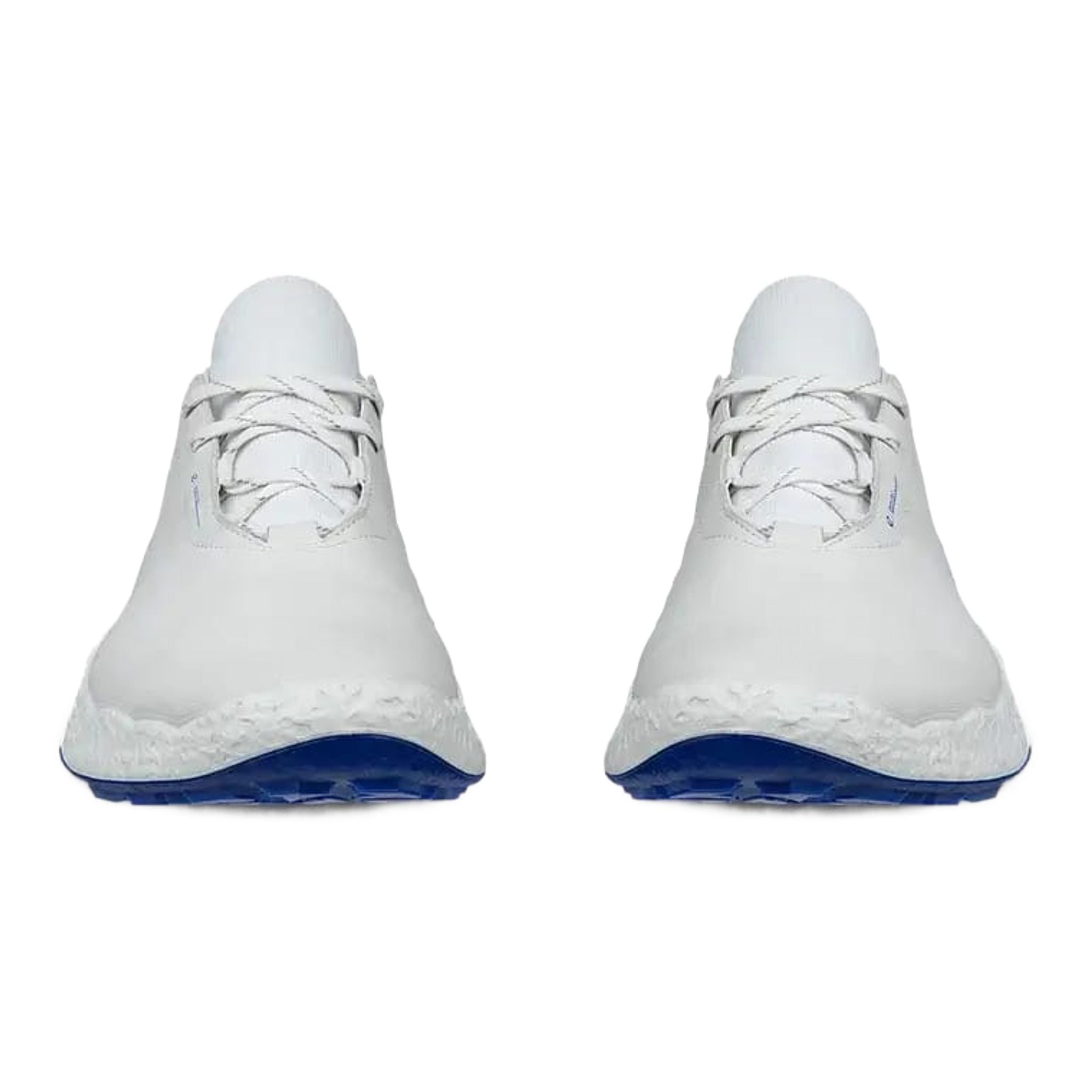 Chaussures de golf Ecco Biom H5 pour hommes