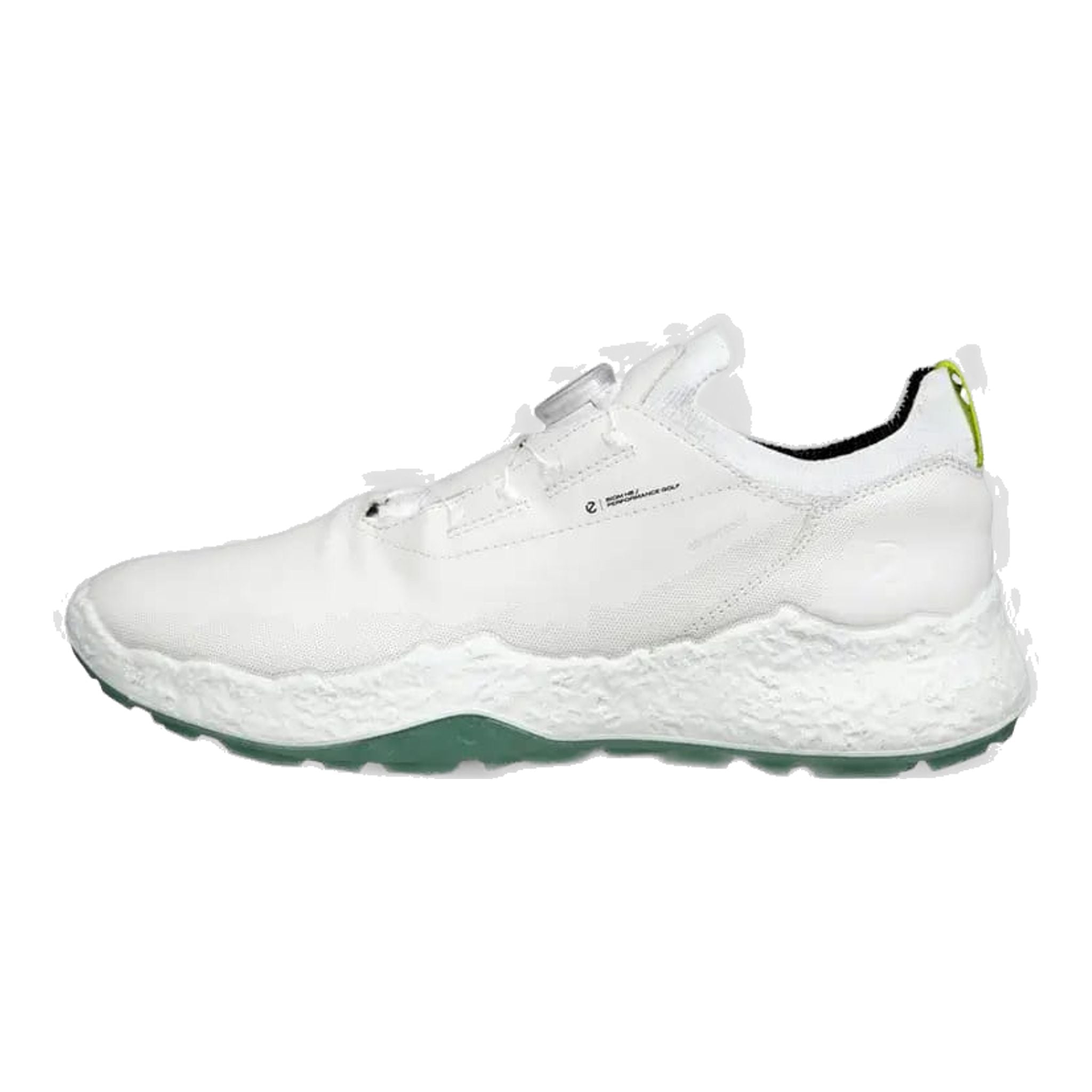 Chaussures de golf Ecco Biom H5 pour hommes