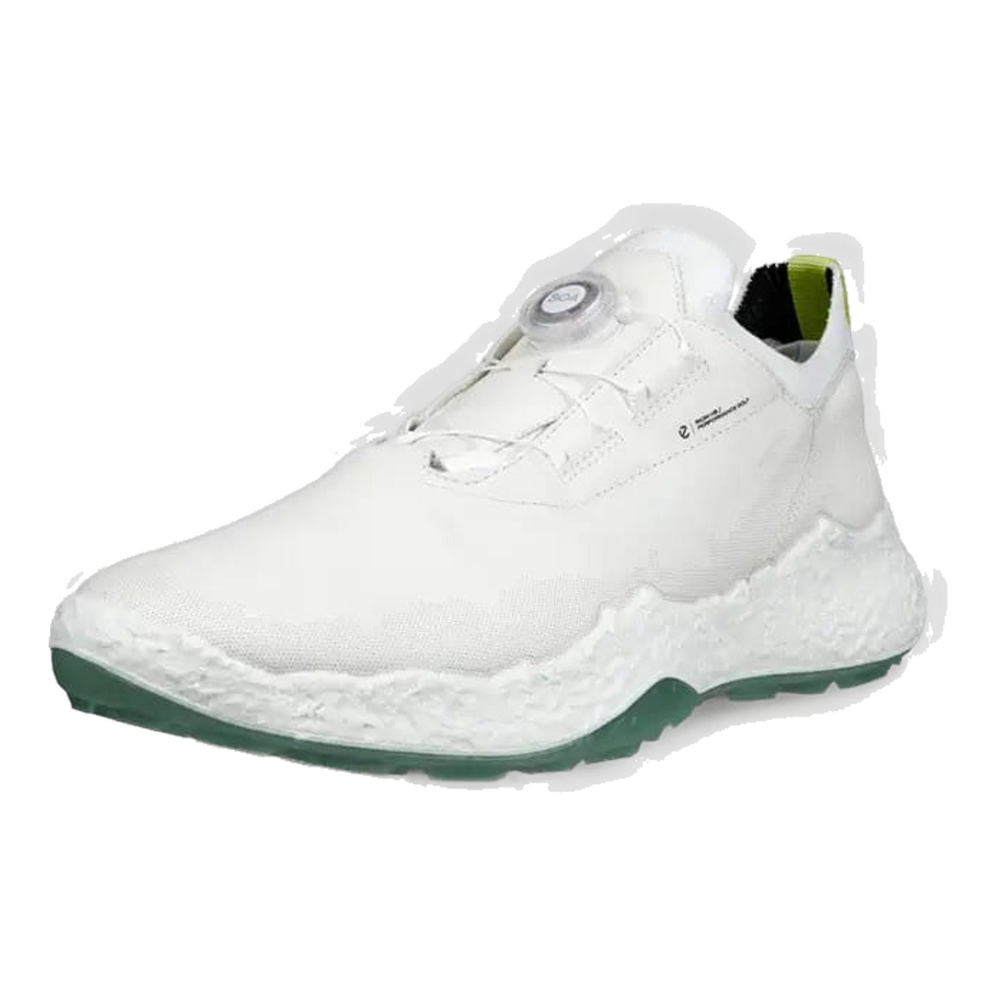 Chaussures de golf Ecco Biom H5 pour hommes