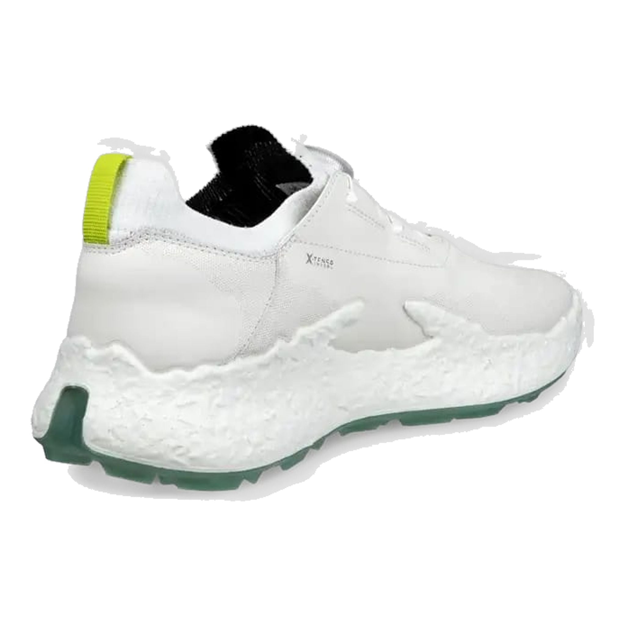 Chaussures de golf Ecco Biom H5 pour hommes