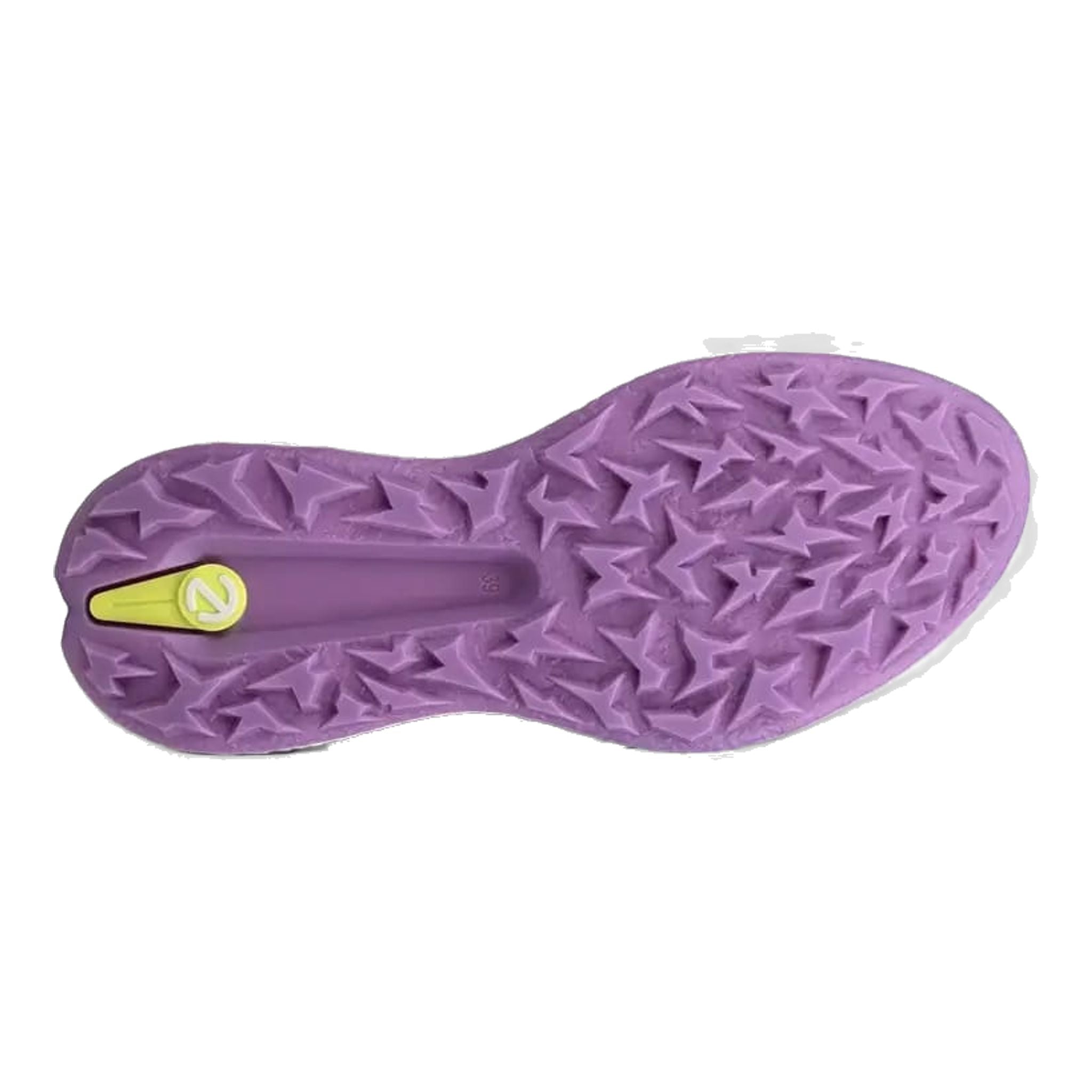 Chaussures de golf Ecco Biom H5 pour femmes