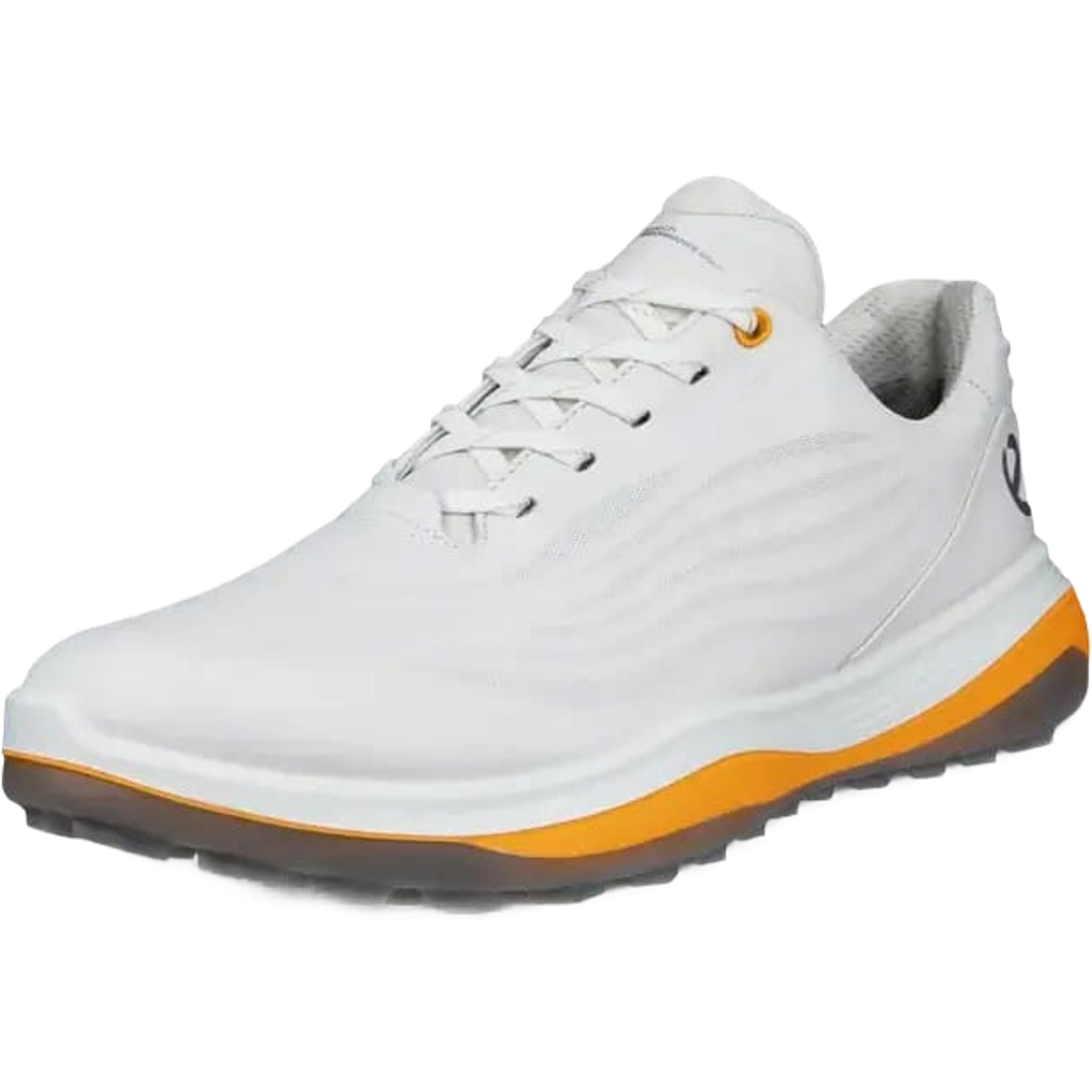 Chaussures de golf Ecco LT1 pour hommes