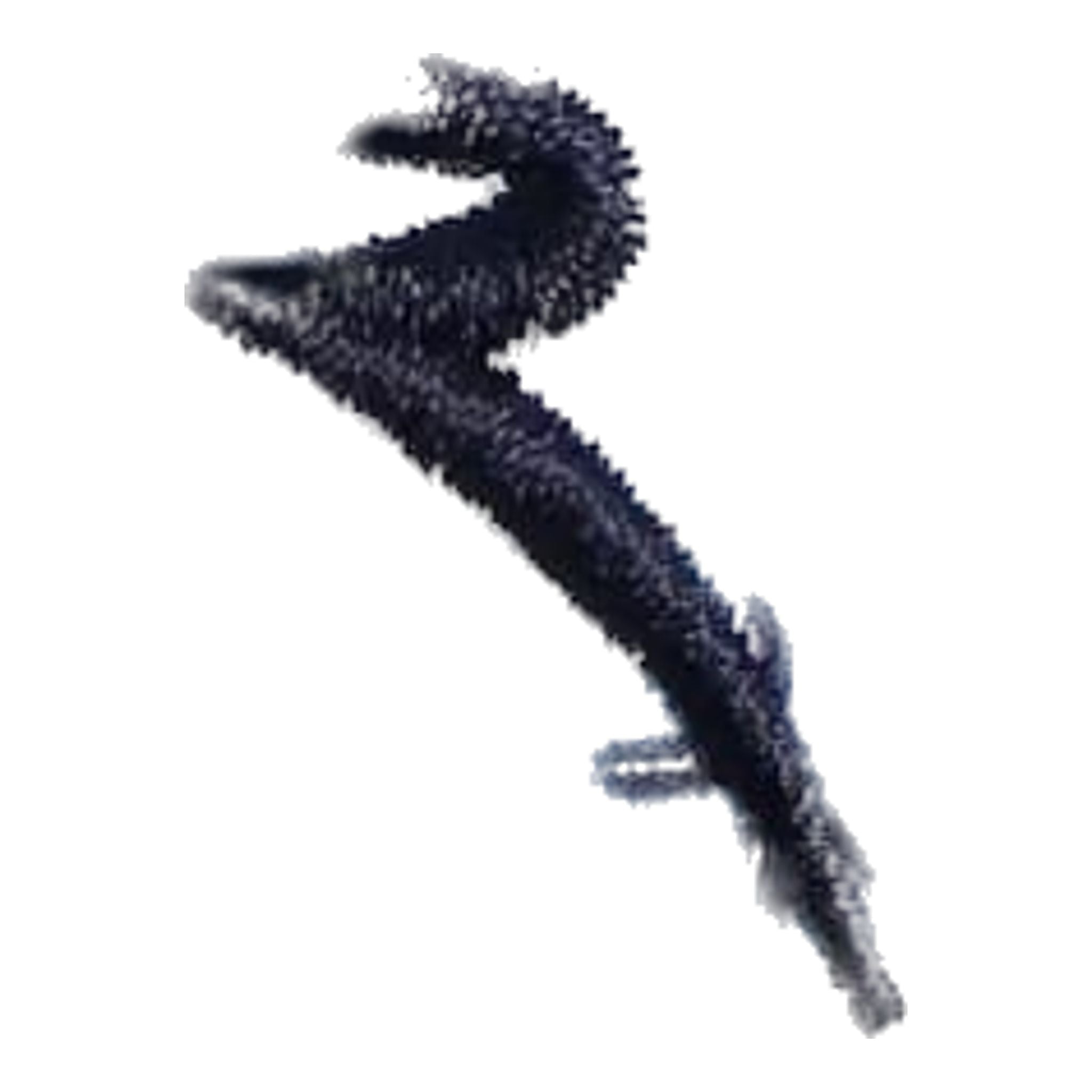 Chervo Addisabeba Polo Femme