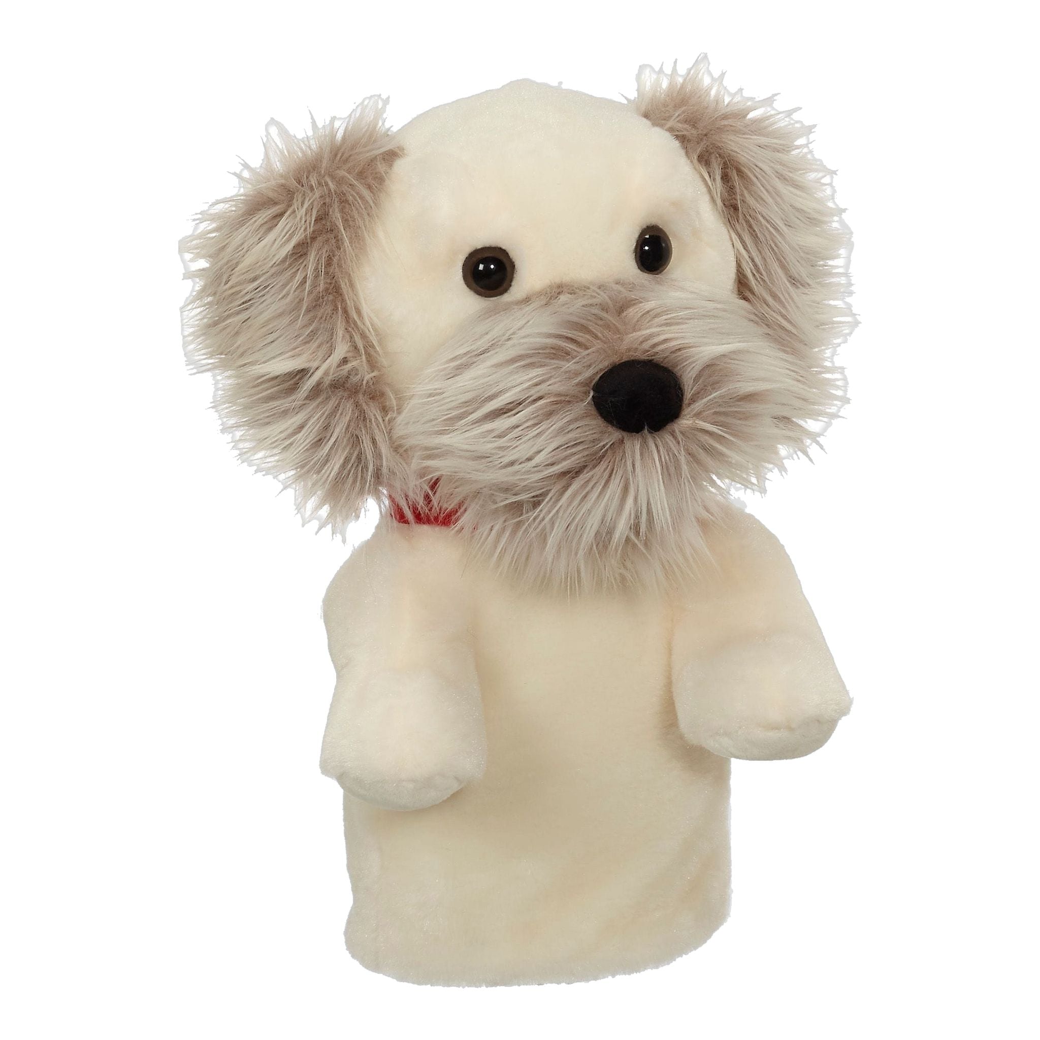 Couvertures créatives pour la tête de Mr. Bucky Dog