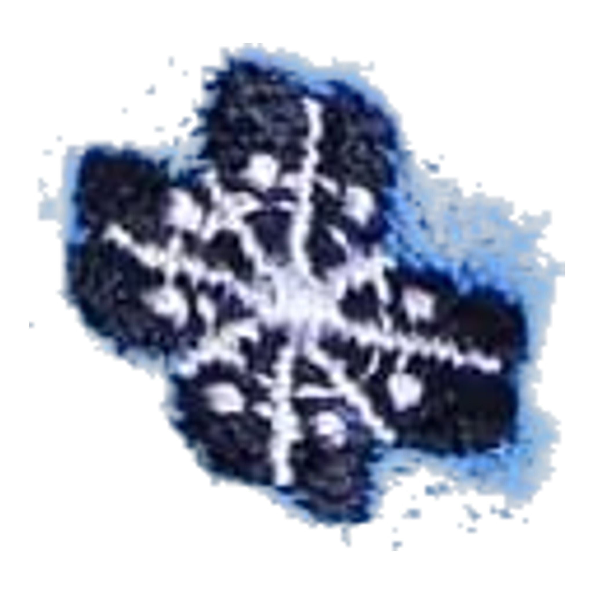 Robe Chervo Viviana pour femmes