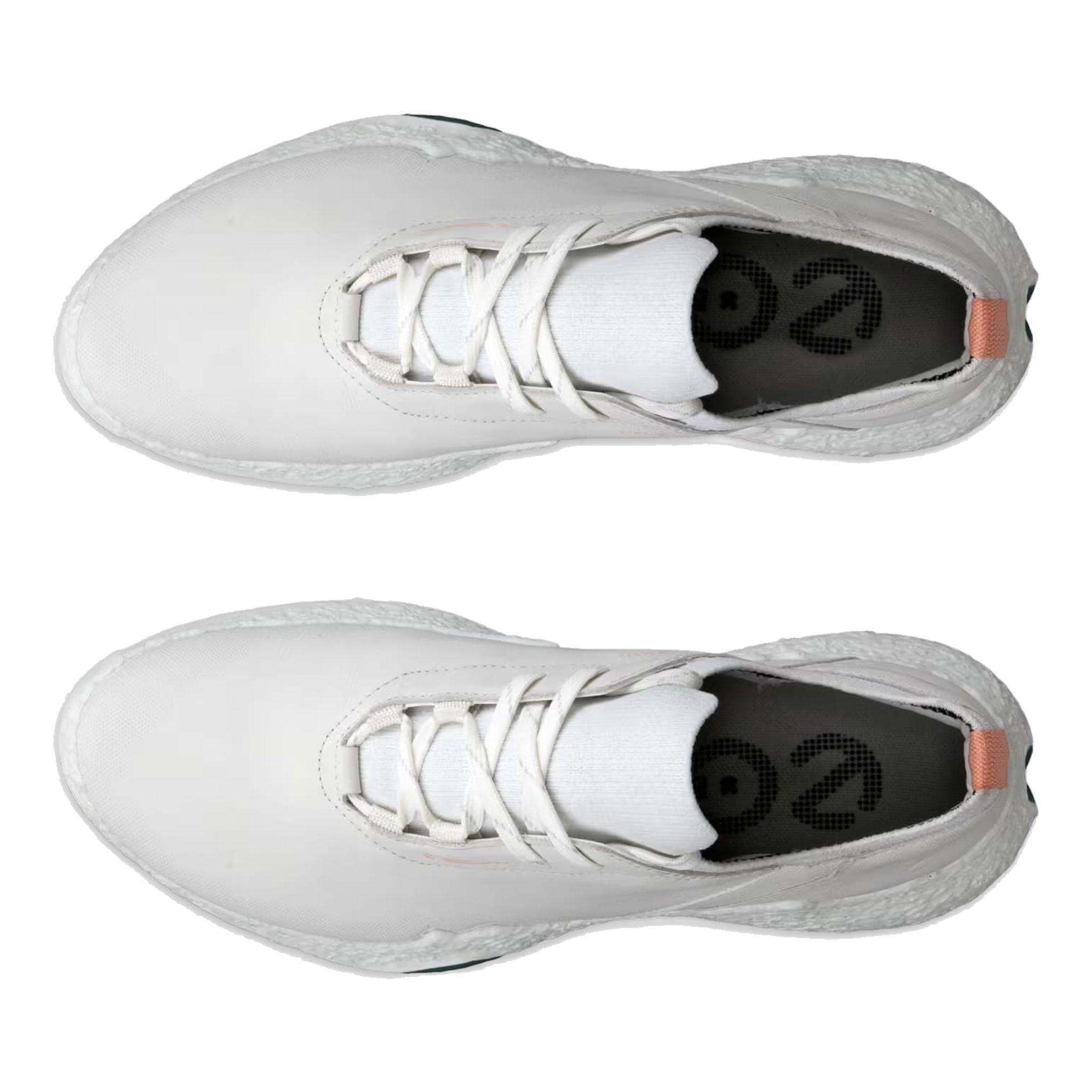 Chaussures de golf Ecco Biom H5 pour femmes