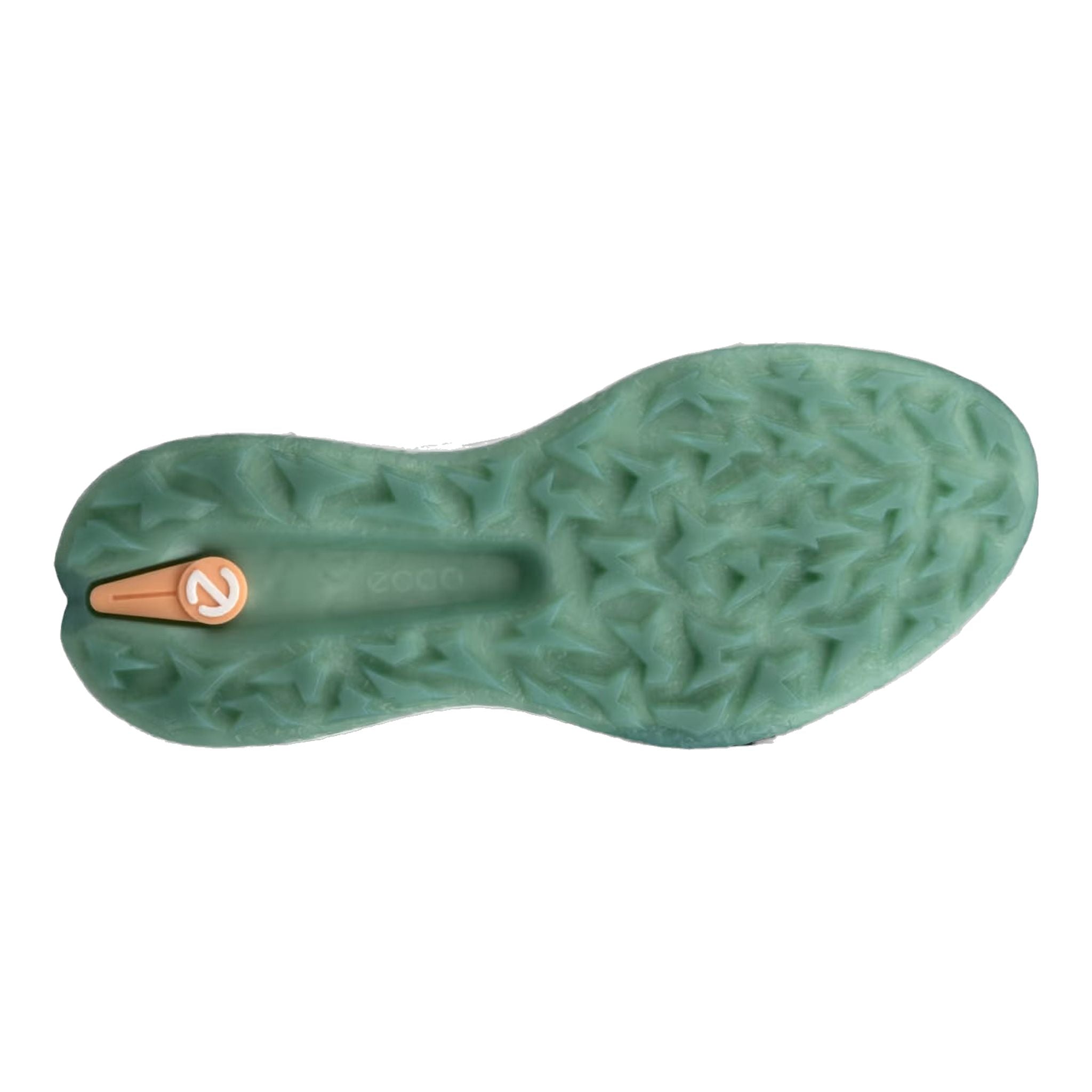 Chaussures de golf Ecco Biom H5 pour femmes