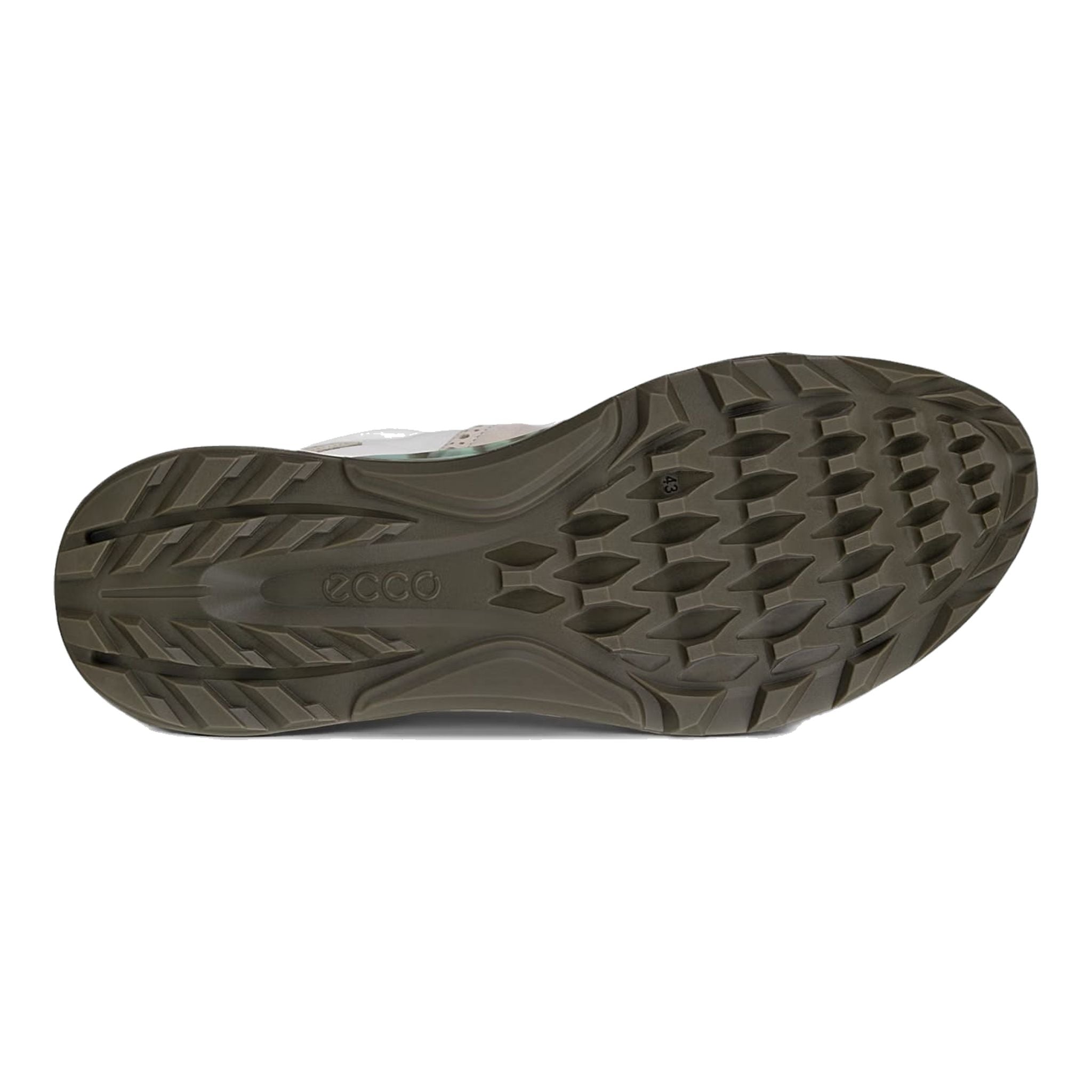 Chaussures de golf Ecco Biom C4 pour hommes